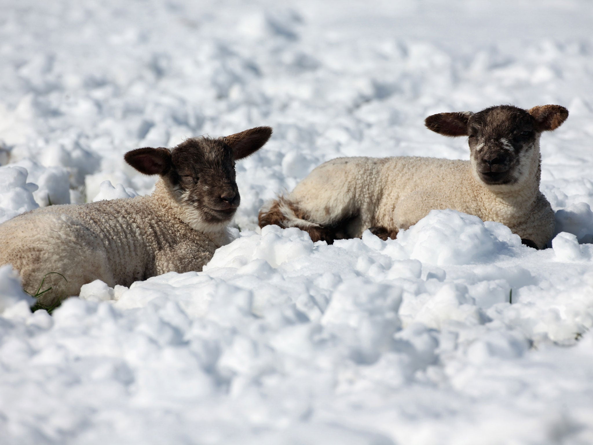 An Arctic snap is gripping the UK