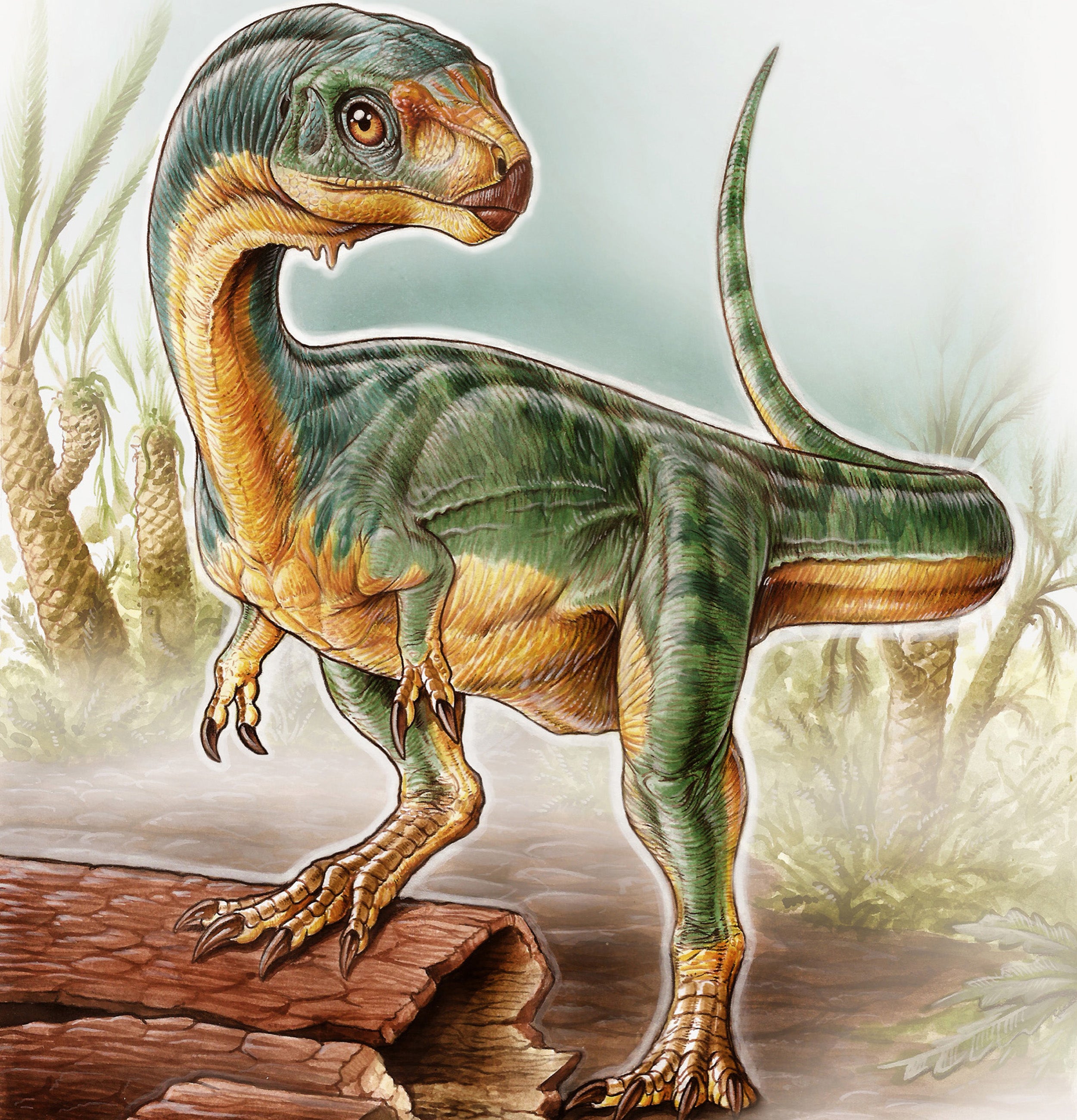 Chilesaurus diegosuarezi