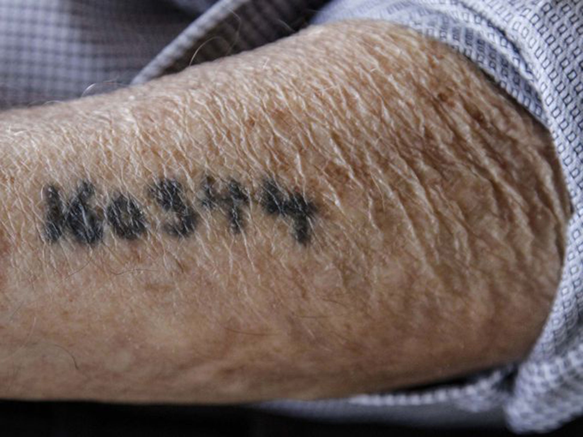 At the age of 13 he was taken from his home in Poland to Auschwitz where the number 160344 was tattooed on his arm, he was liberated from the Dachau concentration camp in 1945. (Photo: Kelsey Kremer/The Register)