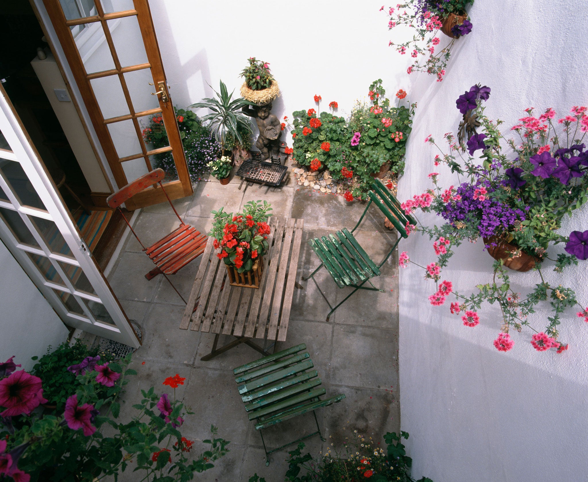 Many good container plants are obliging enough to thrive in sun or half-shade