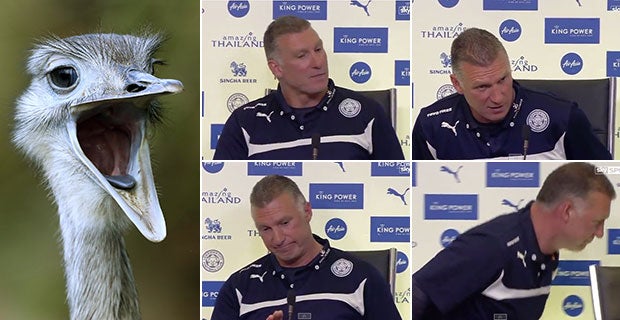 Nigel Pearson called a journalist "an ostrich"