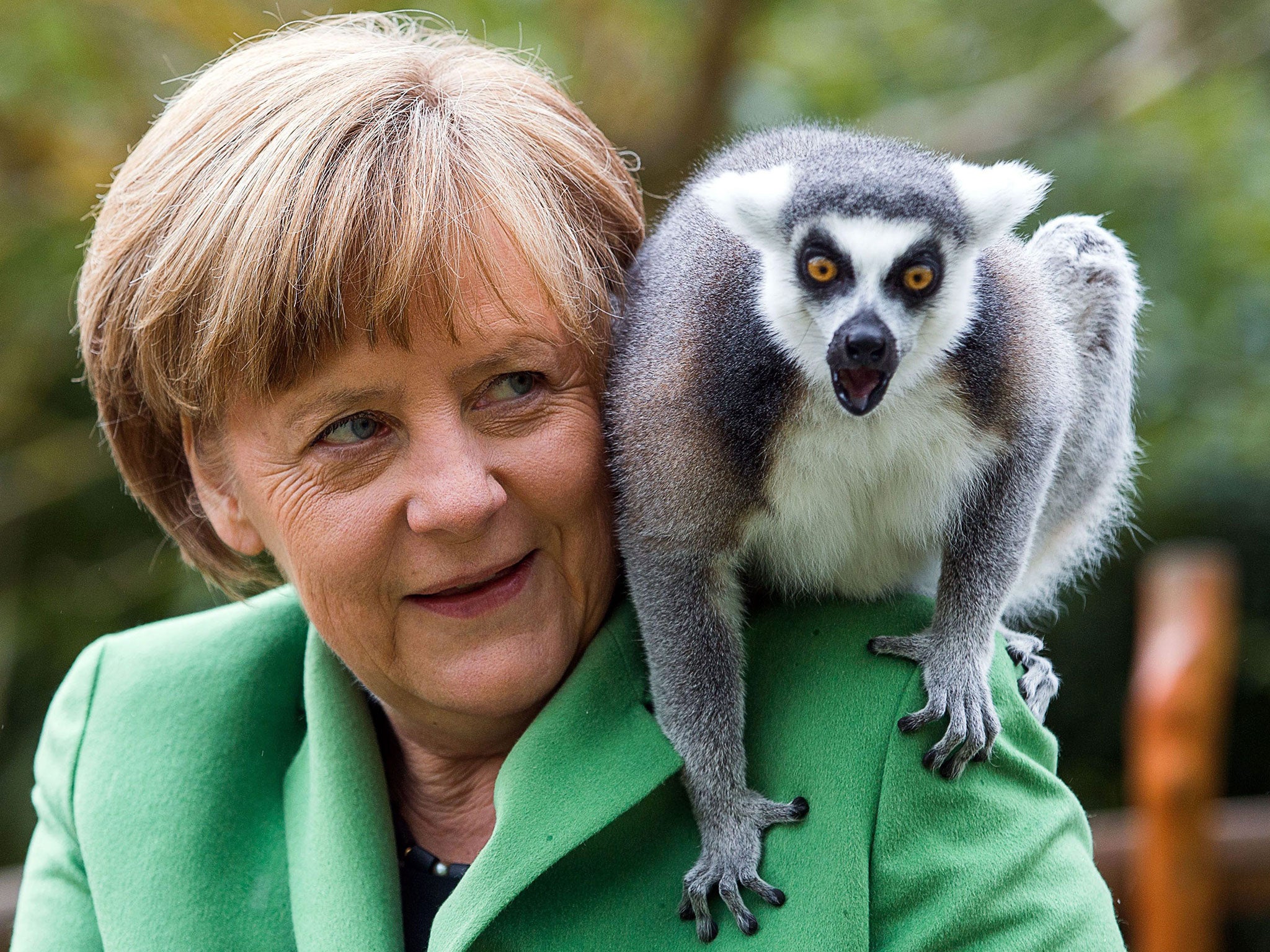 German Chancellor Angela Merkel feeds a lemur during a visit to Vogelpark Marlow (Bird Park Marlow) in Marlow, Germany. Merkel officially opened the 1.600 sqm penguin facility that will house 32 penguins, nine brown pelican and 40 Inca tern