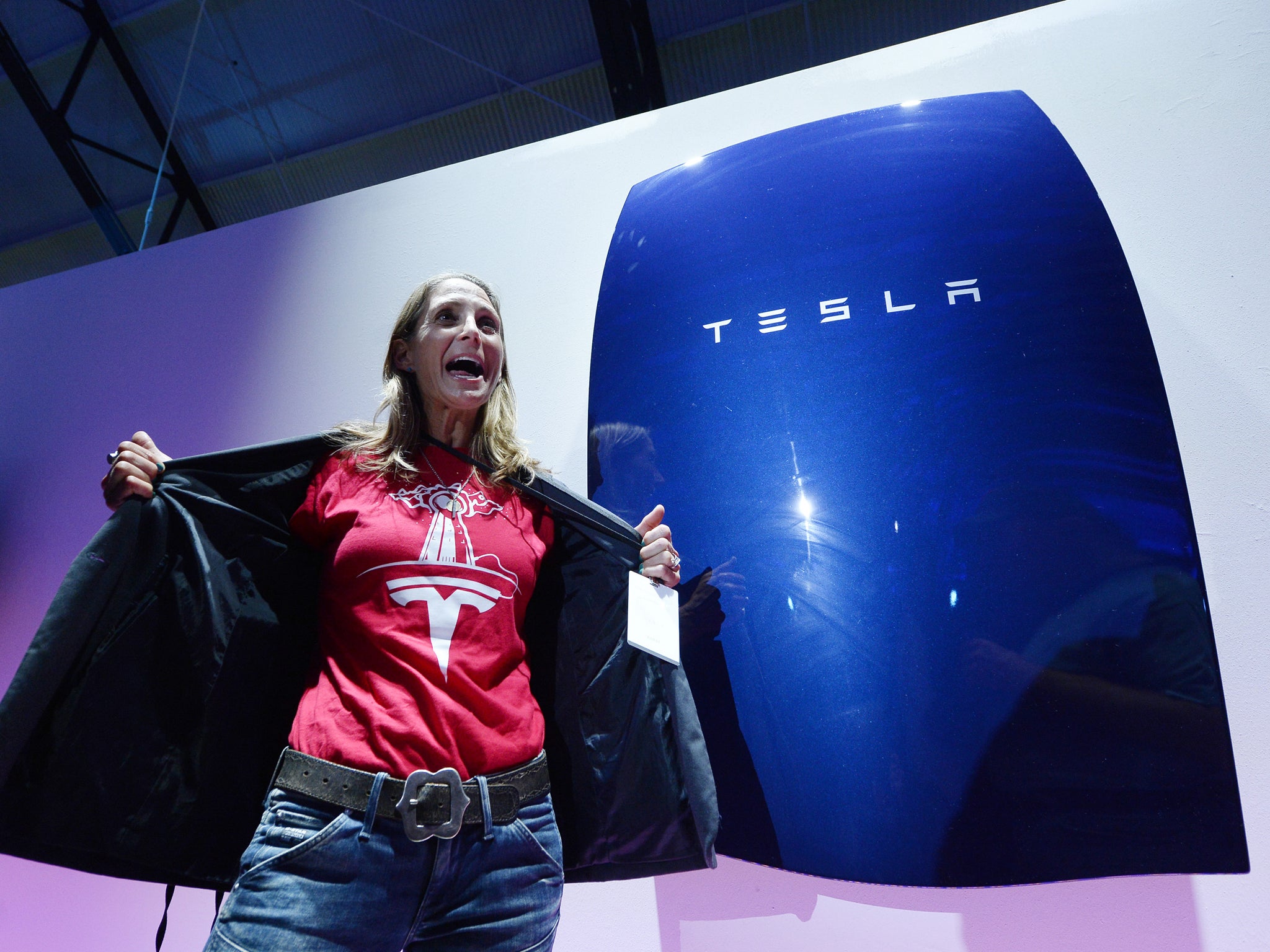 Members of the public pose with the Powerwall home battery