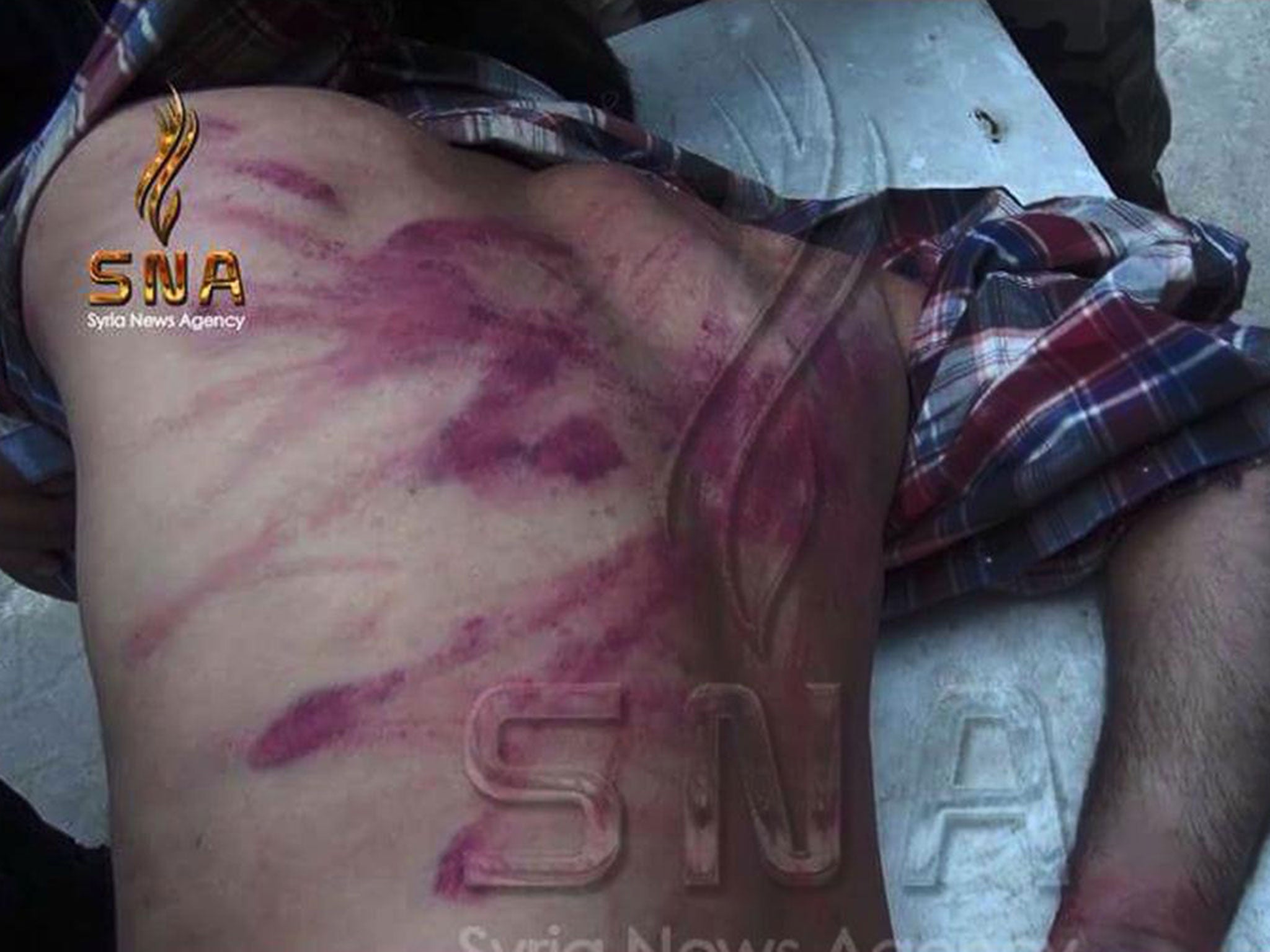 Ryan was beaten with electric cables by al-Nusra militants