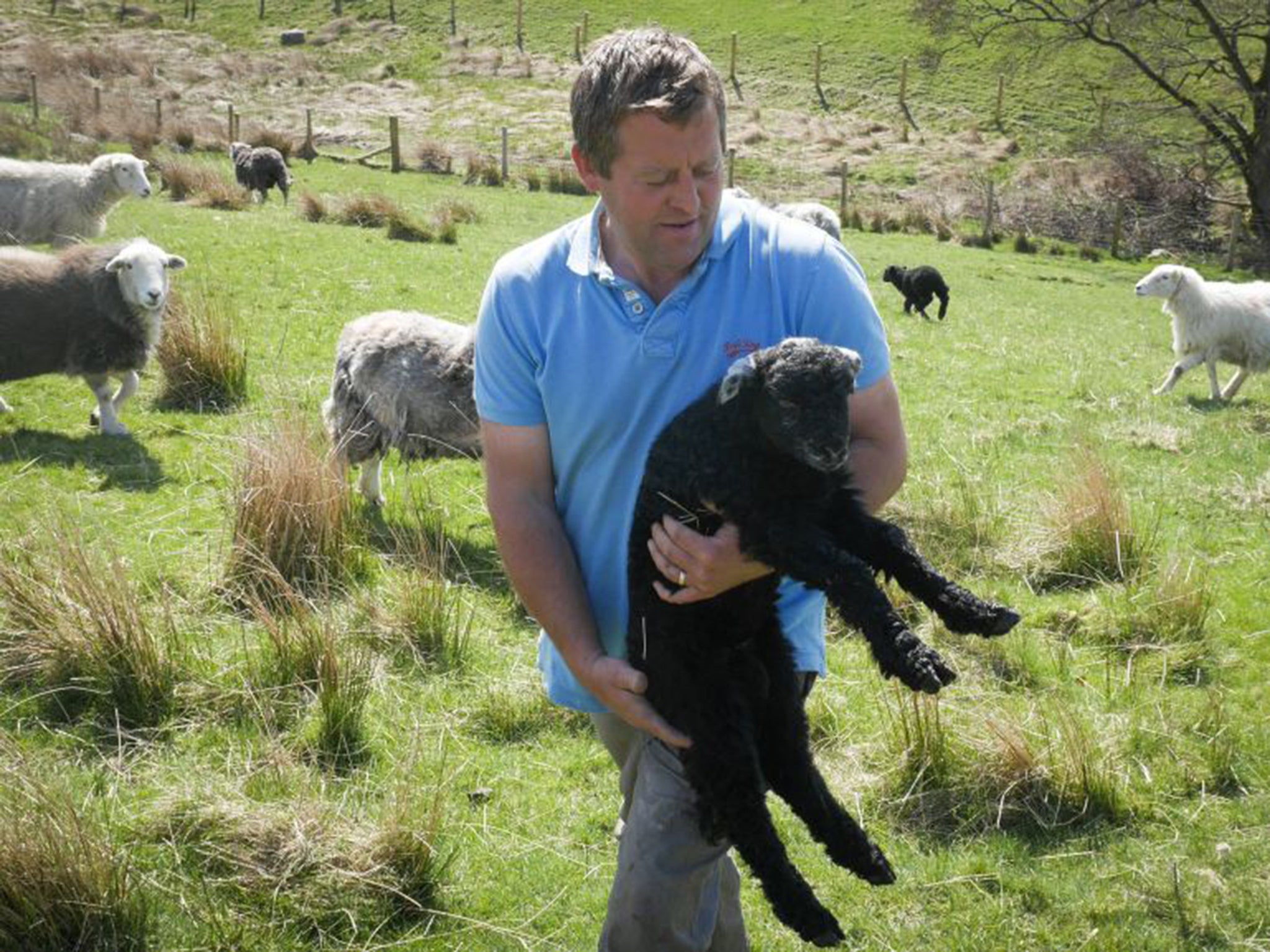 Author and shepherd James Rebanks gathers up a runaway