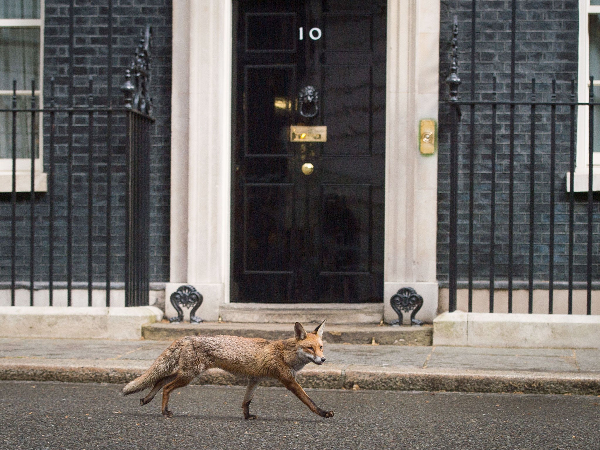 It's rare to hear a knock on the door these days, except from an unexpected visitor