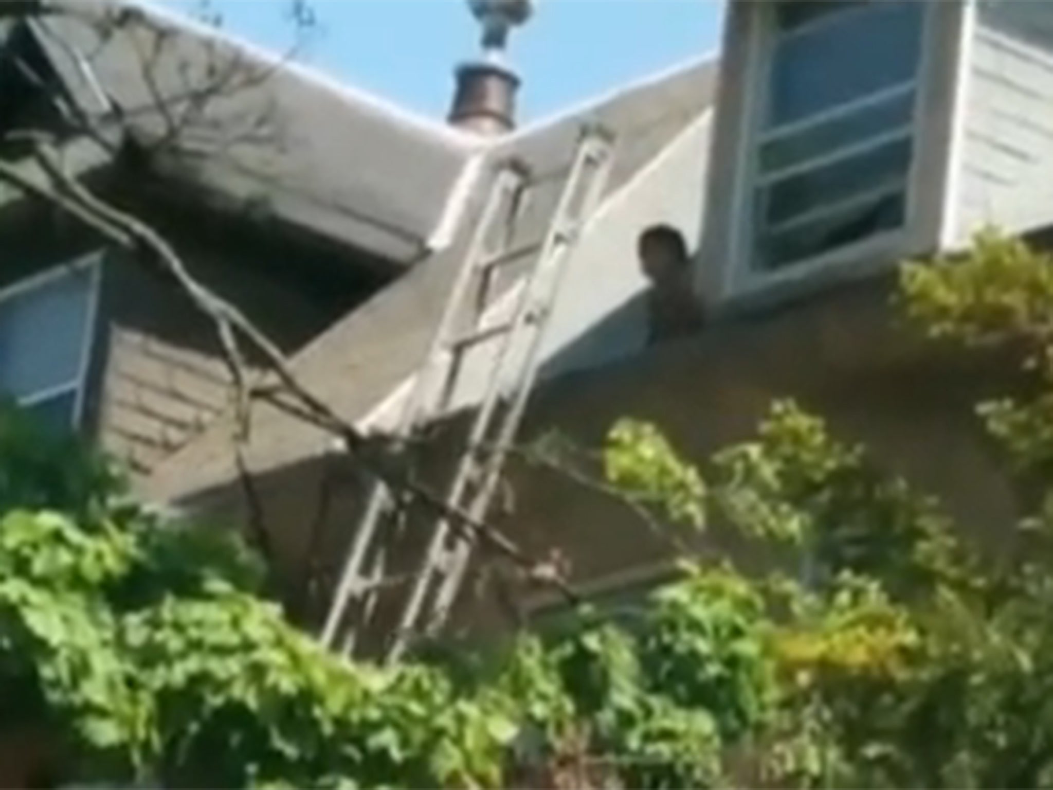 The boy stands on the edge of the roof