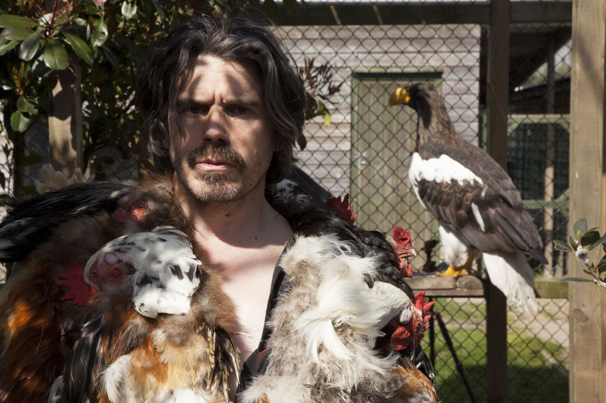 Taking flight: Koen Vanmechelen at his bird farm