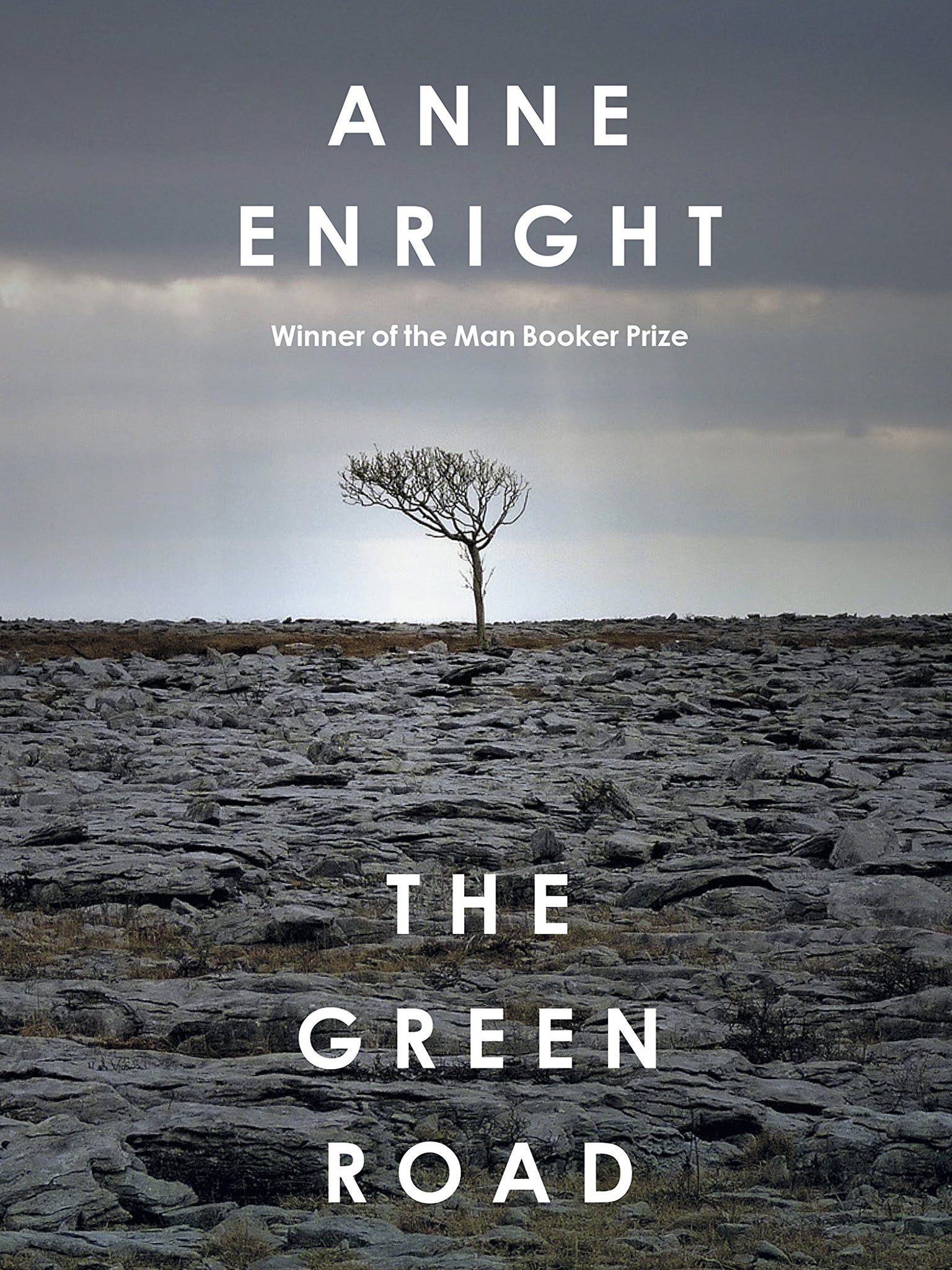 The Green Road by Anne Enright book