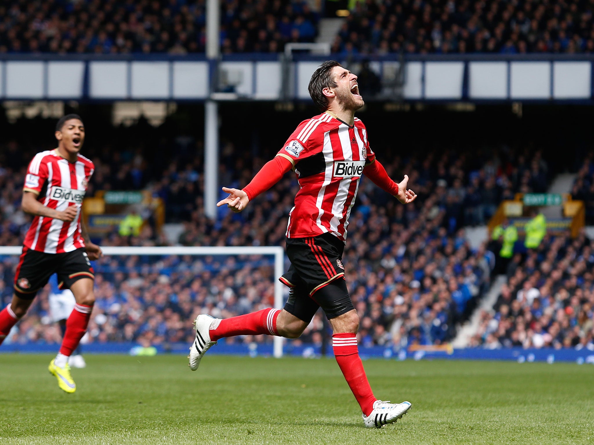 Danny Graham celebrates scoring against Everton