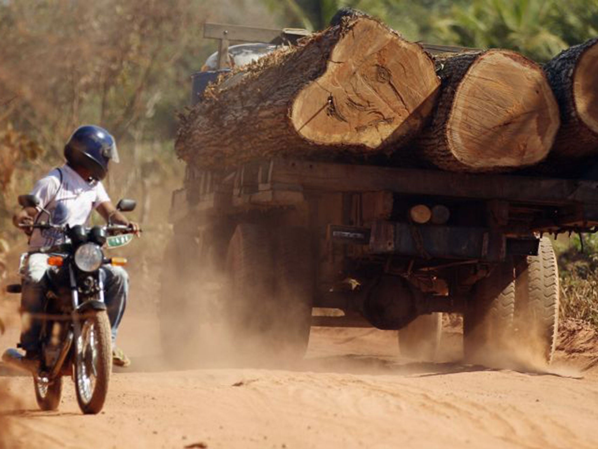 Loggers truck carries illegally harvested wood near Arariboia Reserve in Brazil