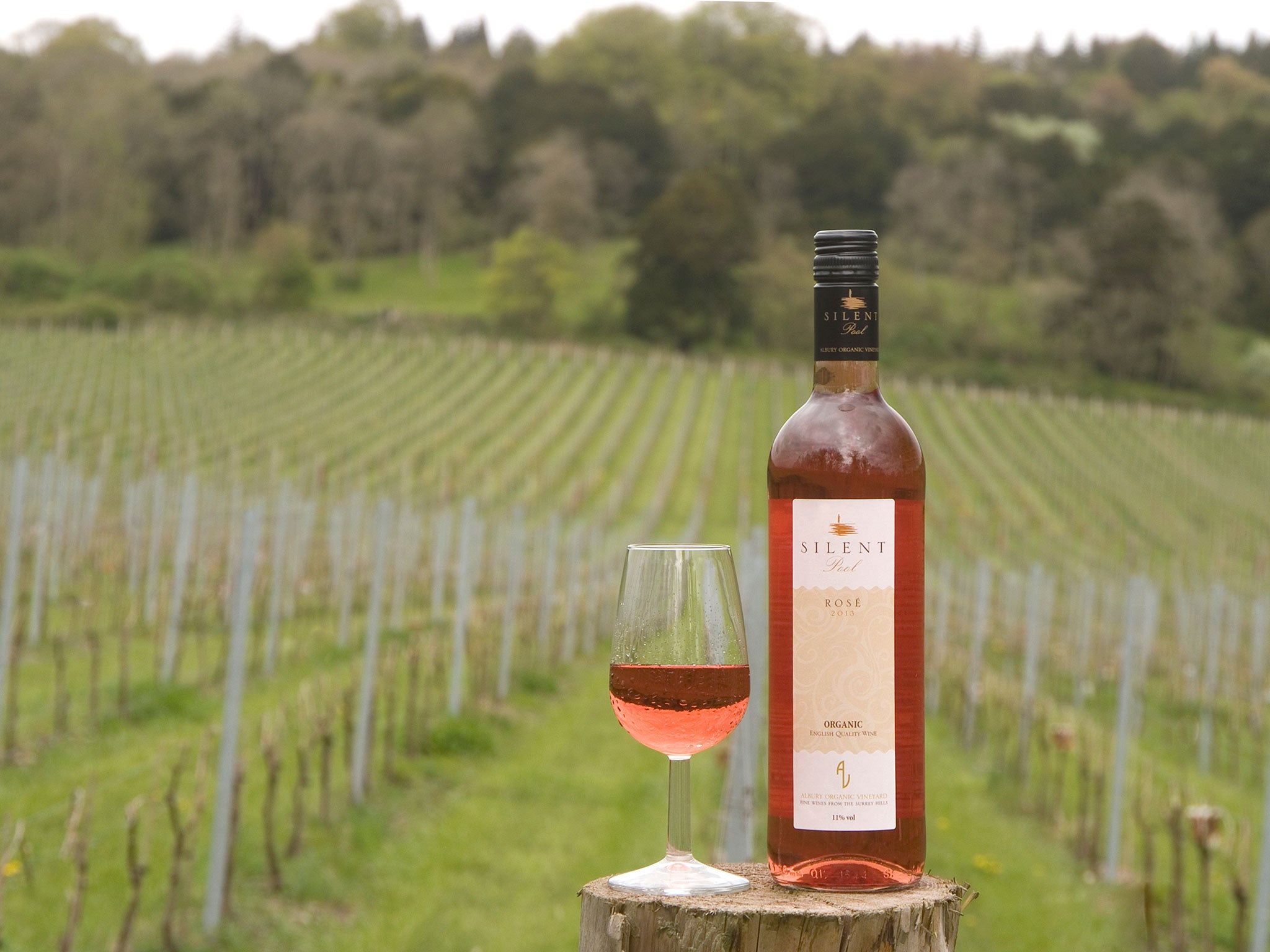 In the pink: A rosé from the Albury Vineyard (John Powell)