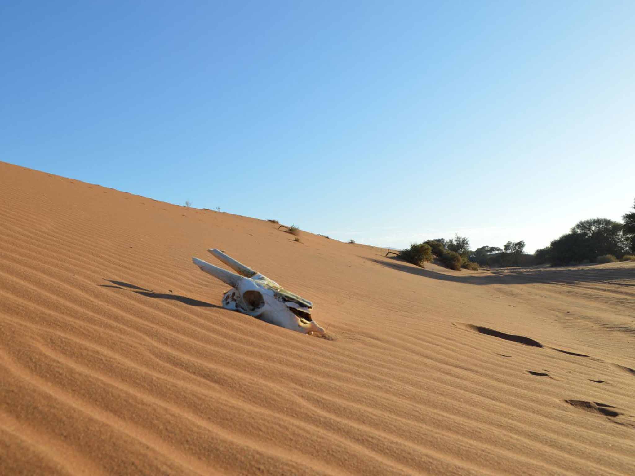 Shifting sands: the beautifully barren landscape