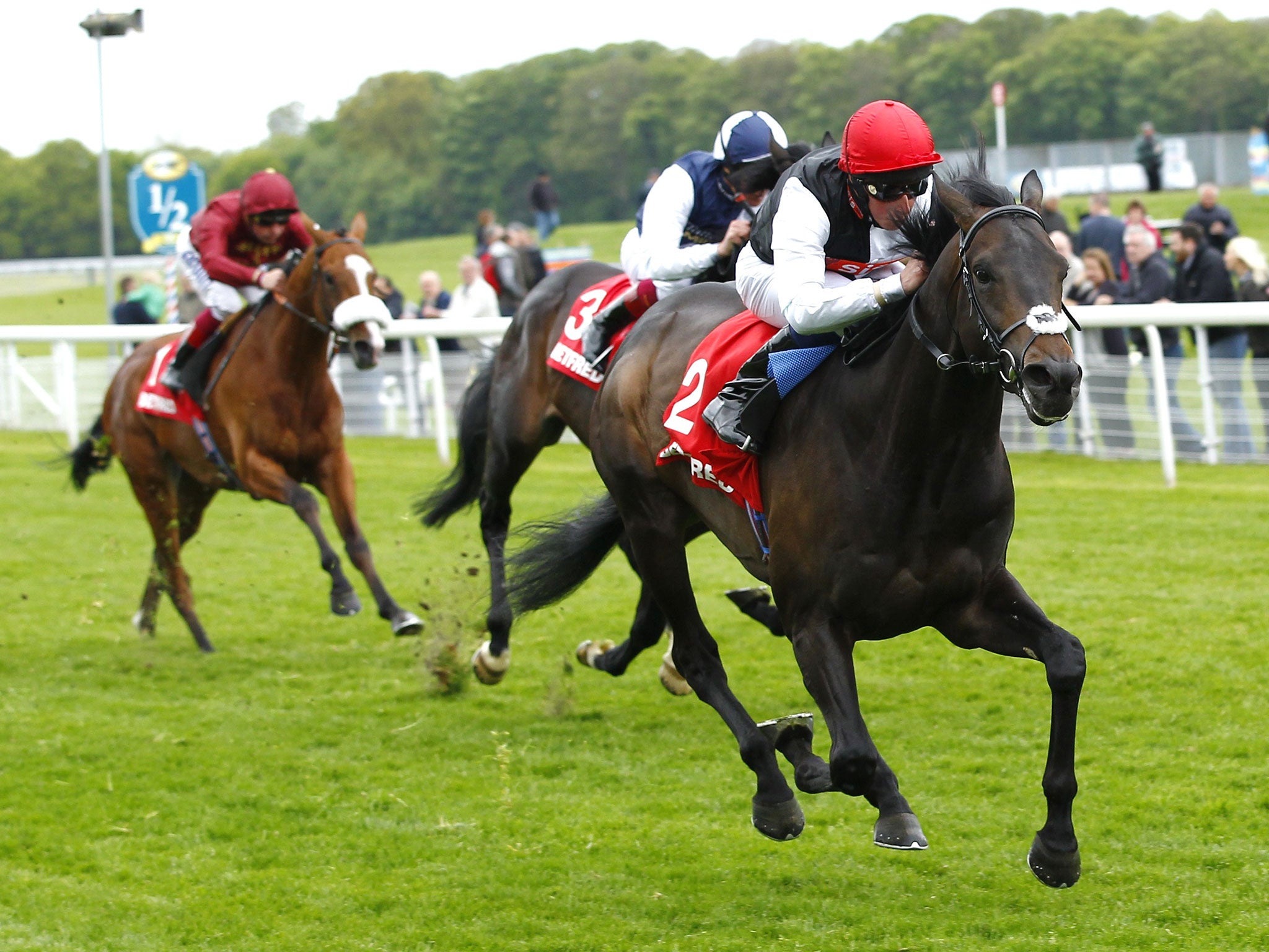 Golden Horn and jockey William Buick win the Dante Stakes at York yesterday ahead of fellow John Gosden horse Jack Hobbs