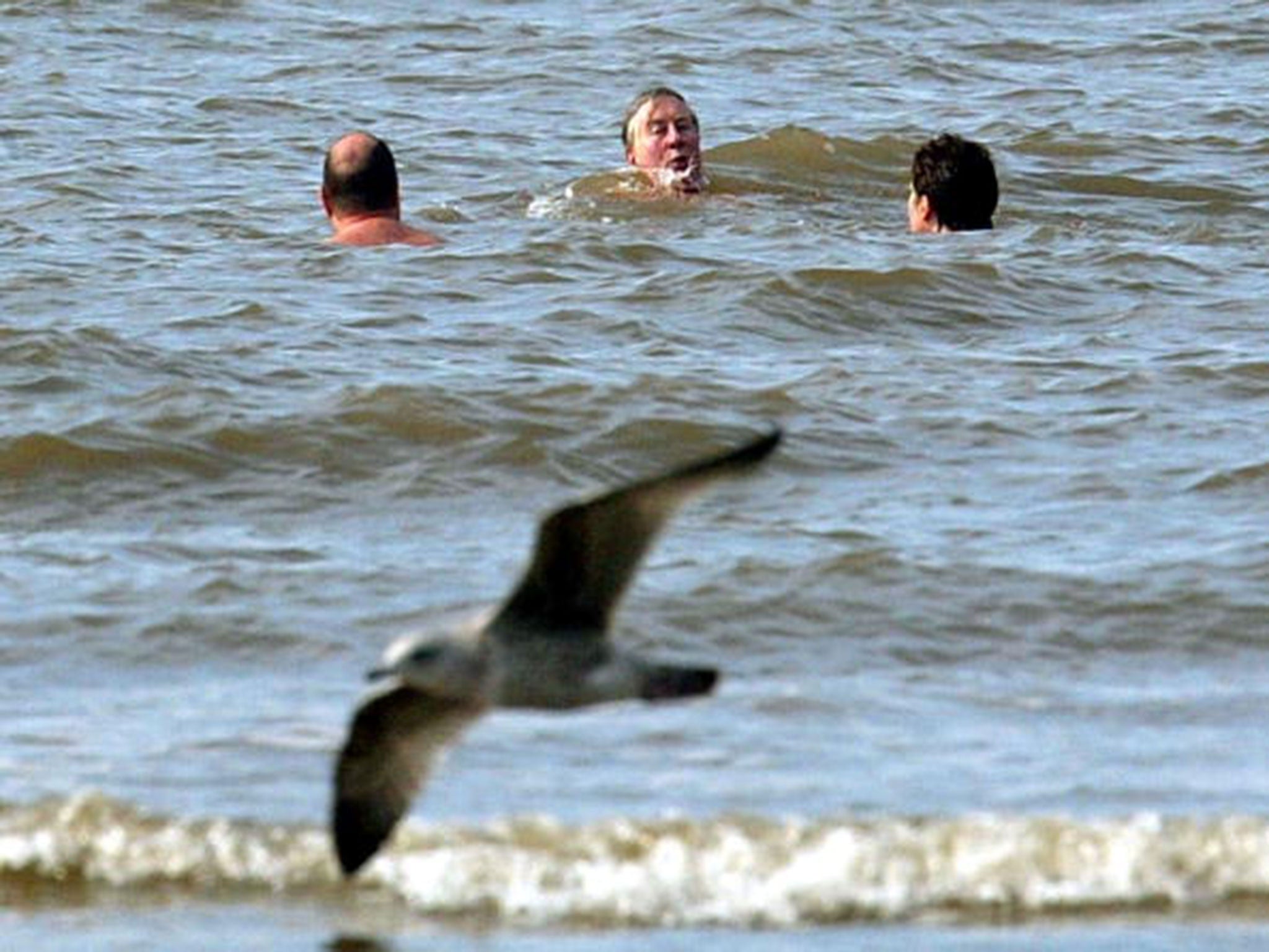 former Environment Minister Michael Meacher swims at Blackpool Beach