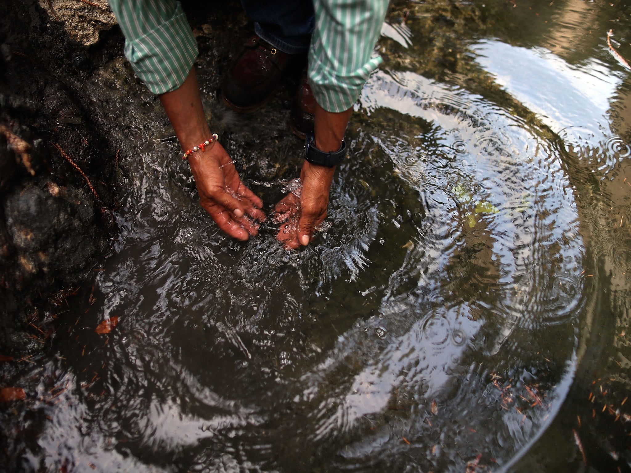 Ishmael Bermudez found a spring in his garden