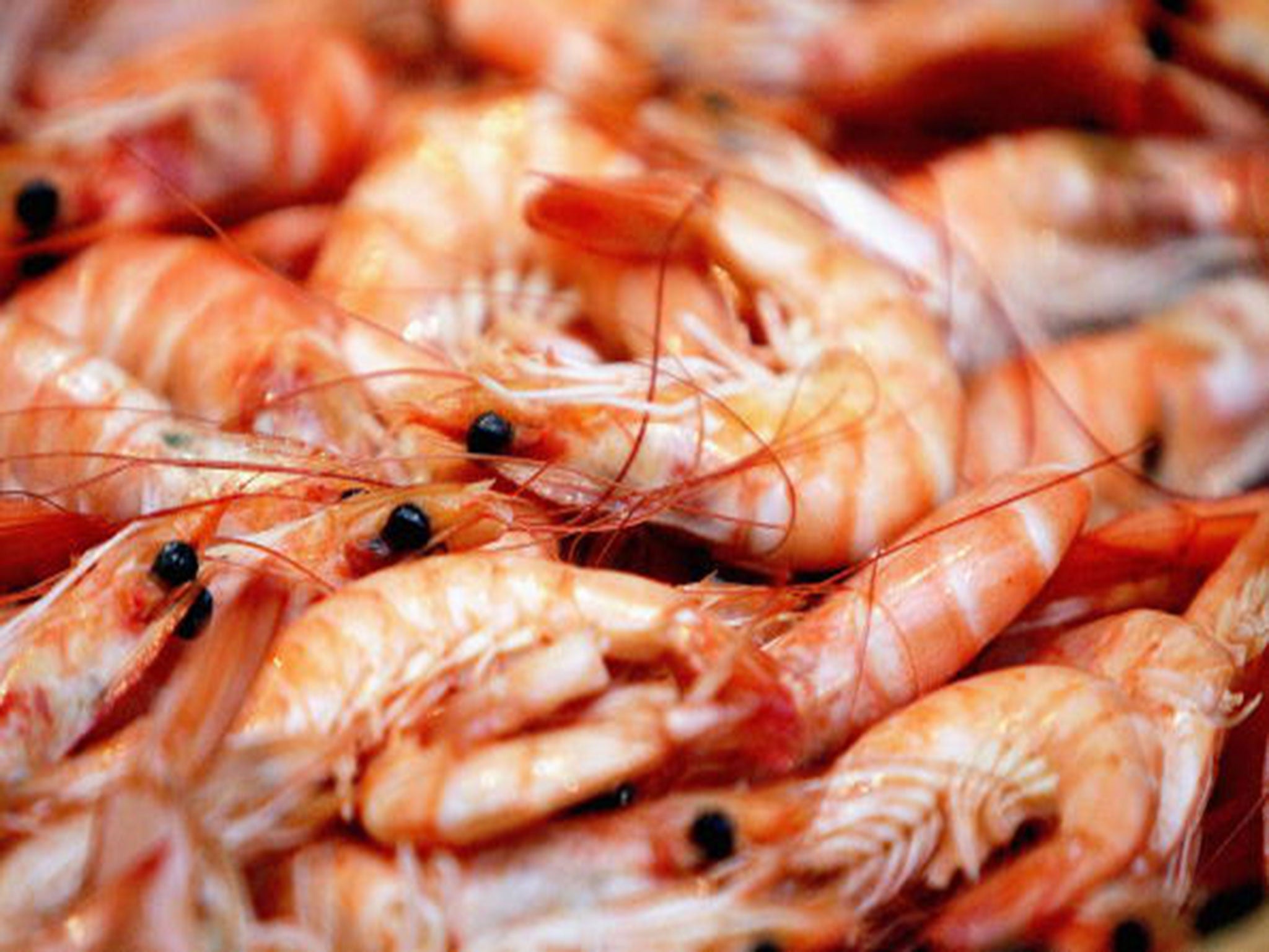 Fresh prawns are displayed at a fishmongers