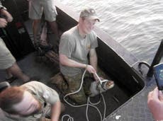 Prince Harry grins while wrestling 10ft crocodile on a boat in Australia