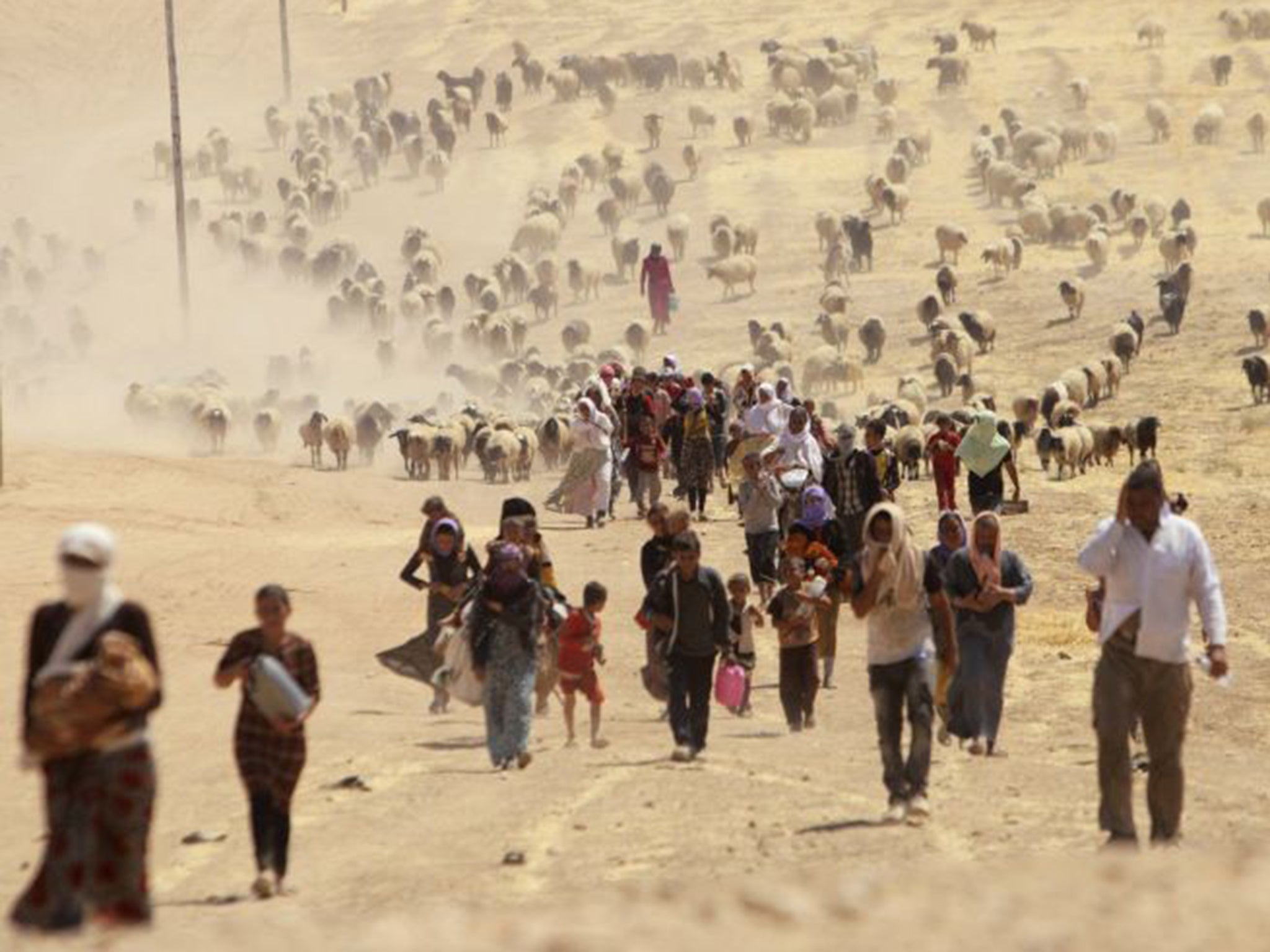 Yazidis have been forced to flee their homes