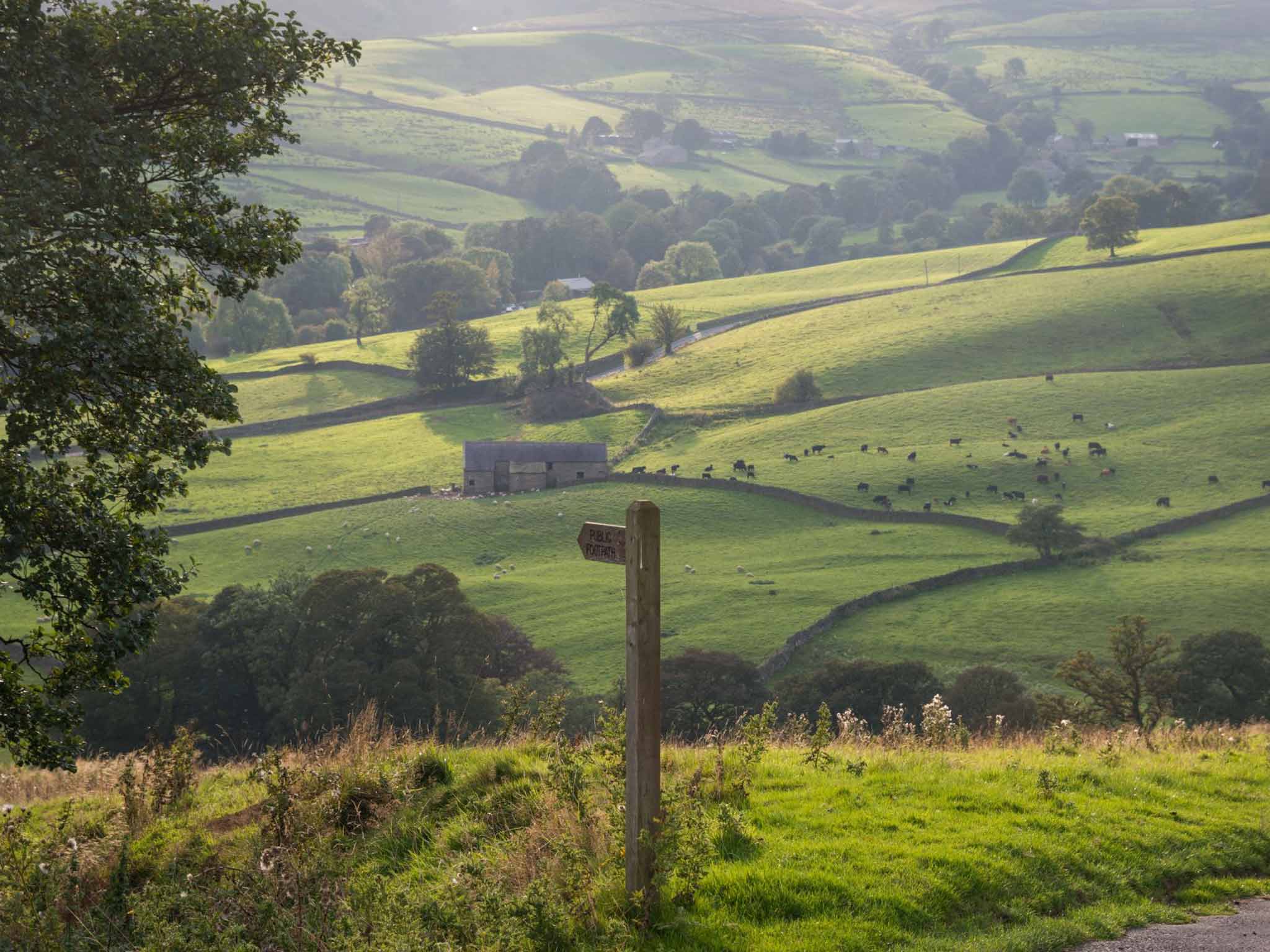 Nidderdale Way's fingerposts: A design-classic image of a curlew in flight