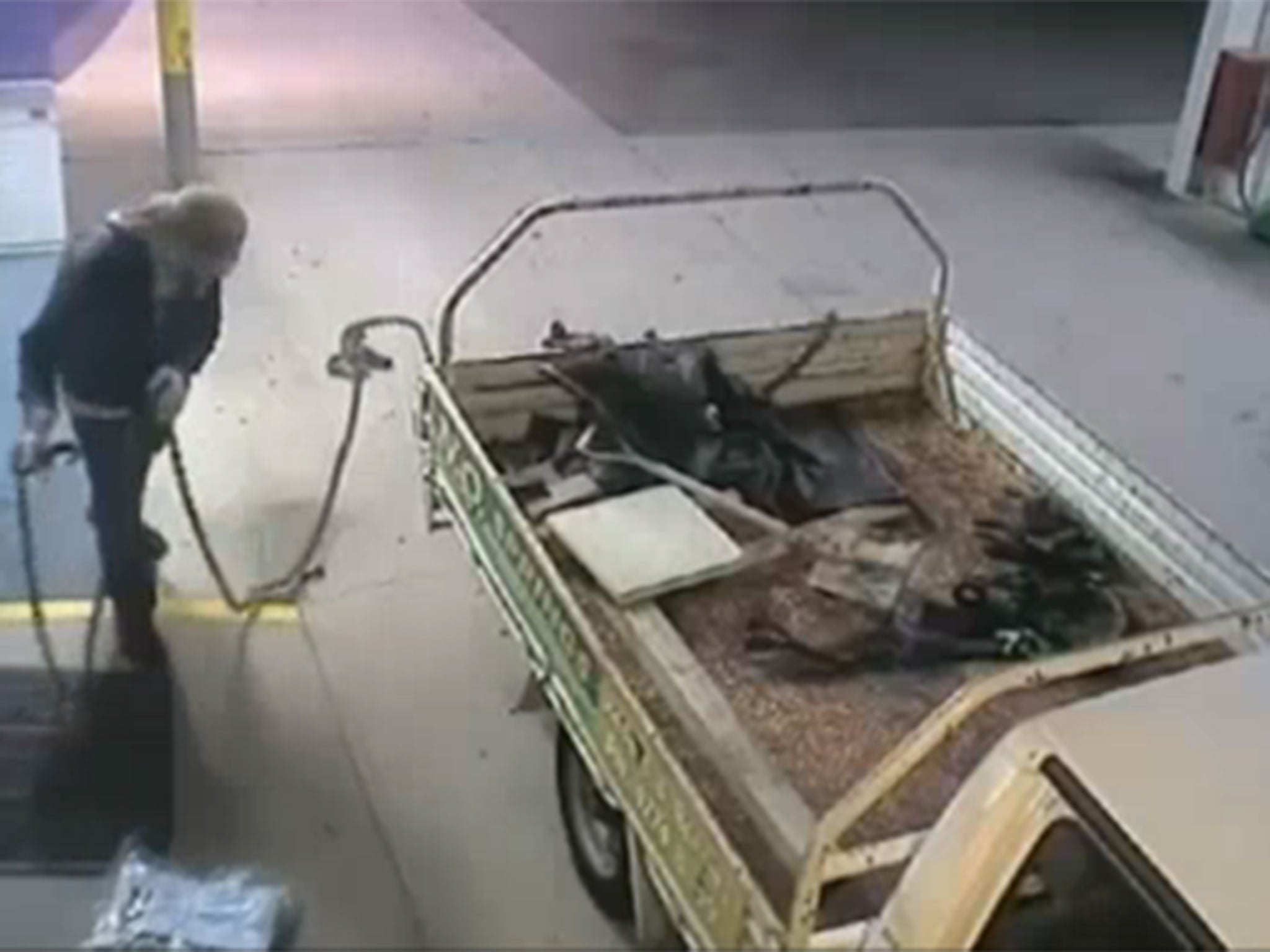 The bungling thief tried to steal the ATM from the petrol station