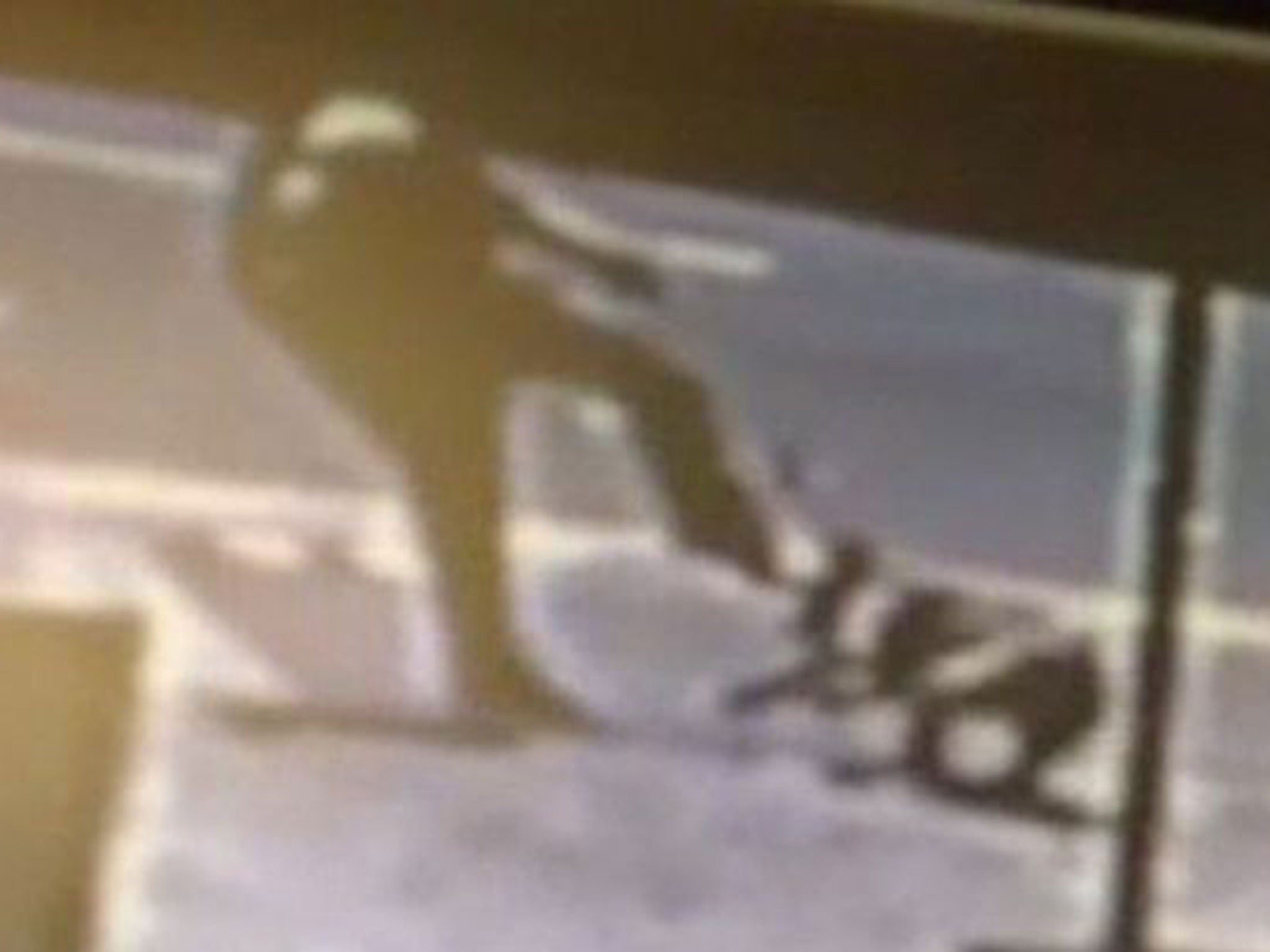 The dog was kicked in the head after refusing to follow its owner