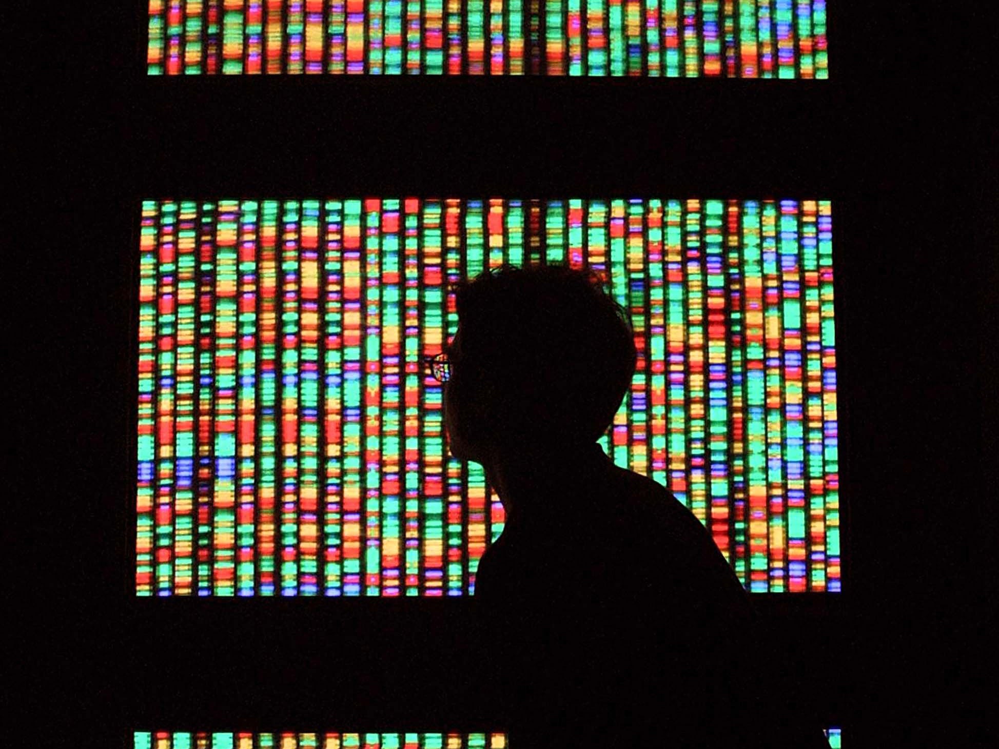 DNA summit to meet on subject of modified humans