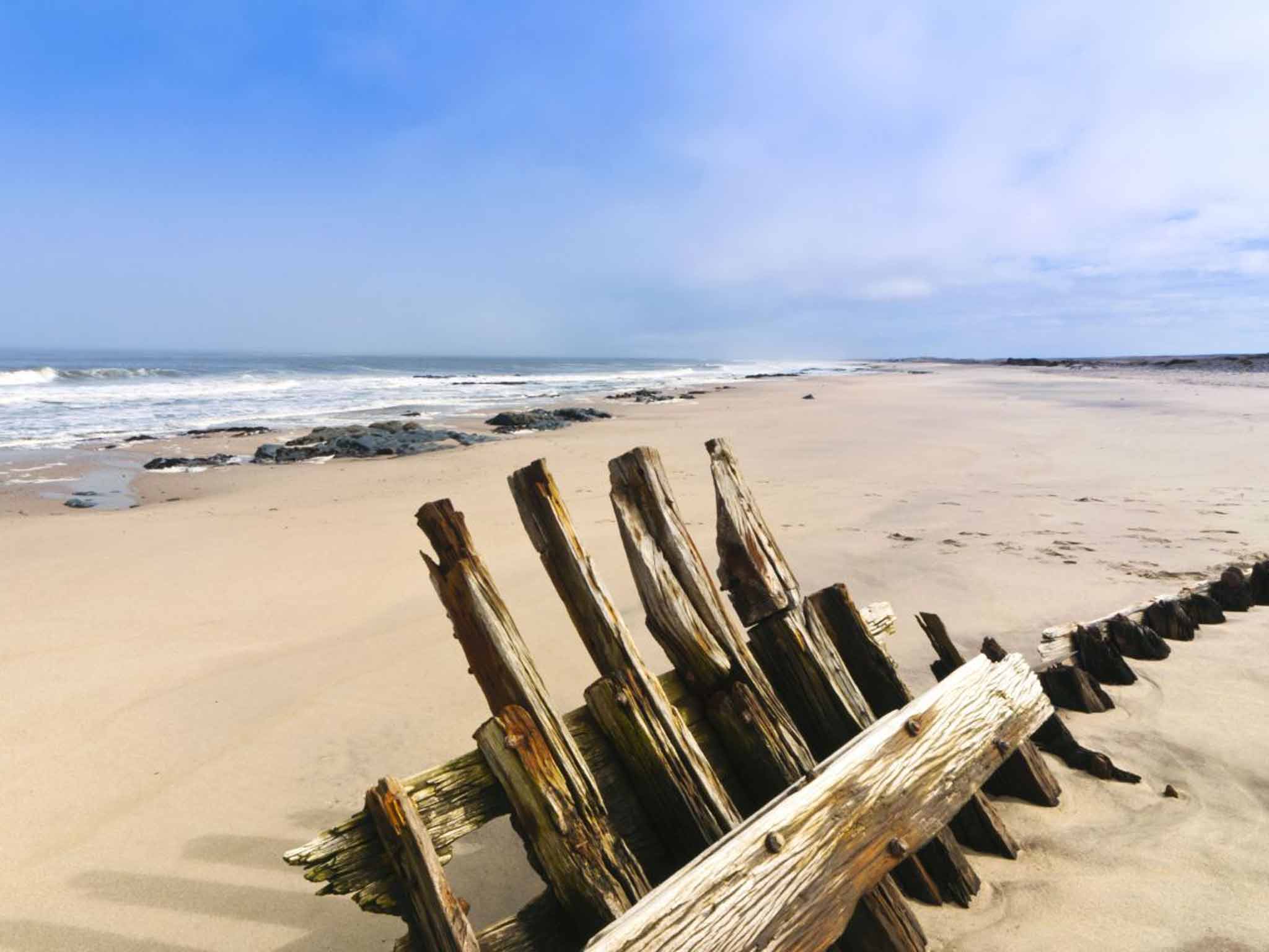 Skeleton coast: Hundreds of miles of shoreline are littered with wrecks of ships