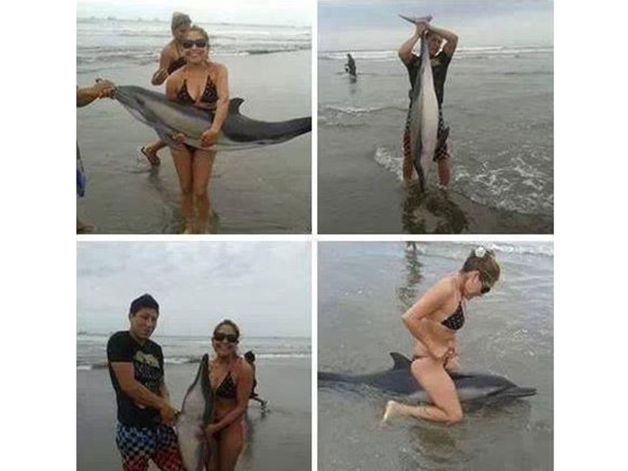 A couple, believed to be from Peru, posing with a beached dolphin have met with widespread anger on the internet (credit: Facebook)