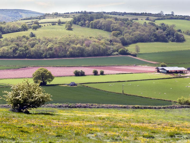 The Golden Valley where a plan for broiler chicken units has caused uproar in the community