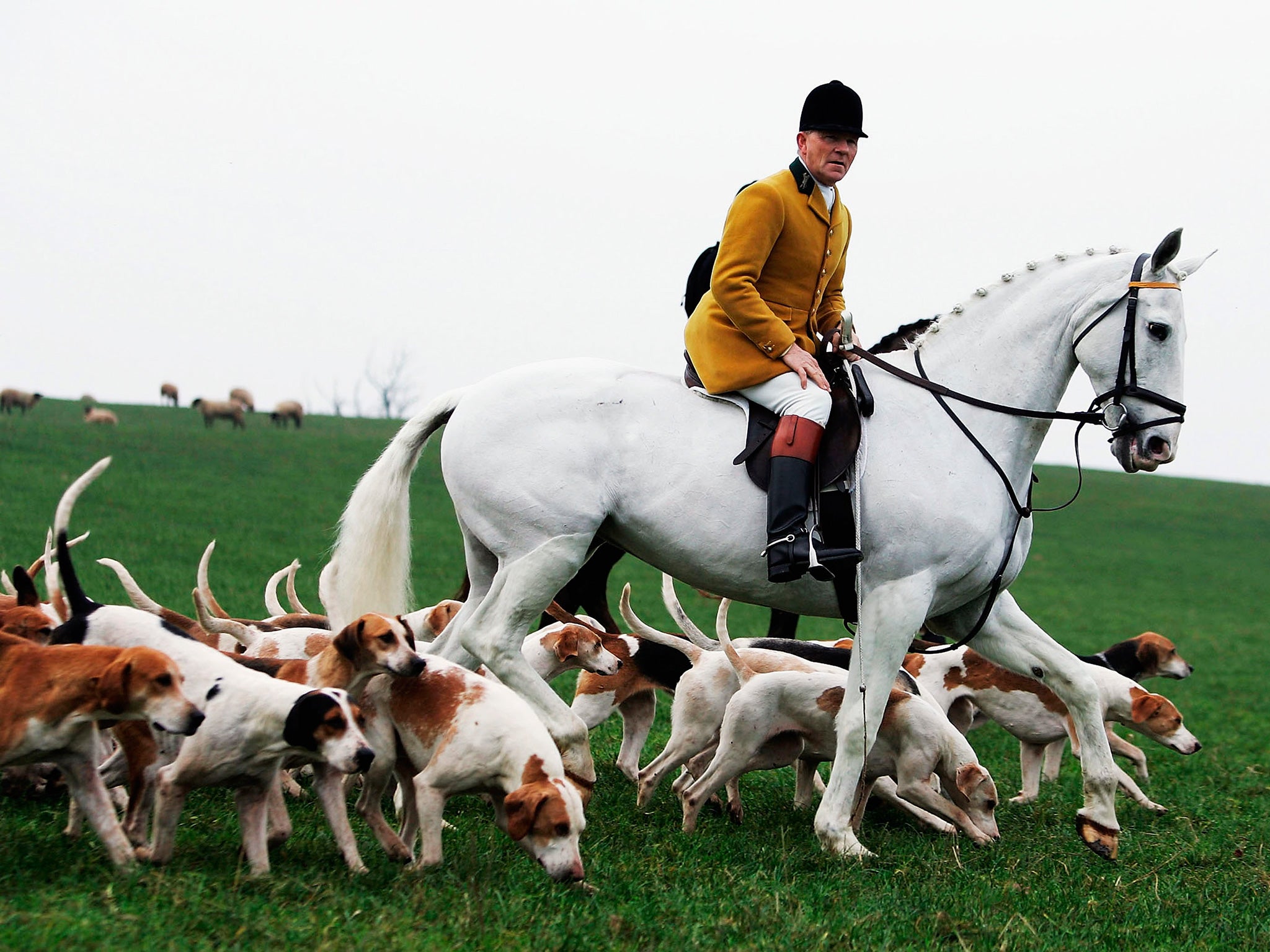 There are 45,000 hunt members according to the Countryside Alliance (Getty)