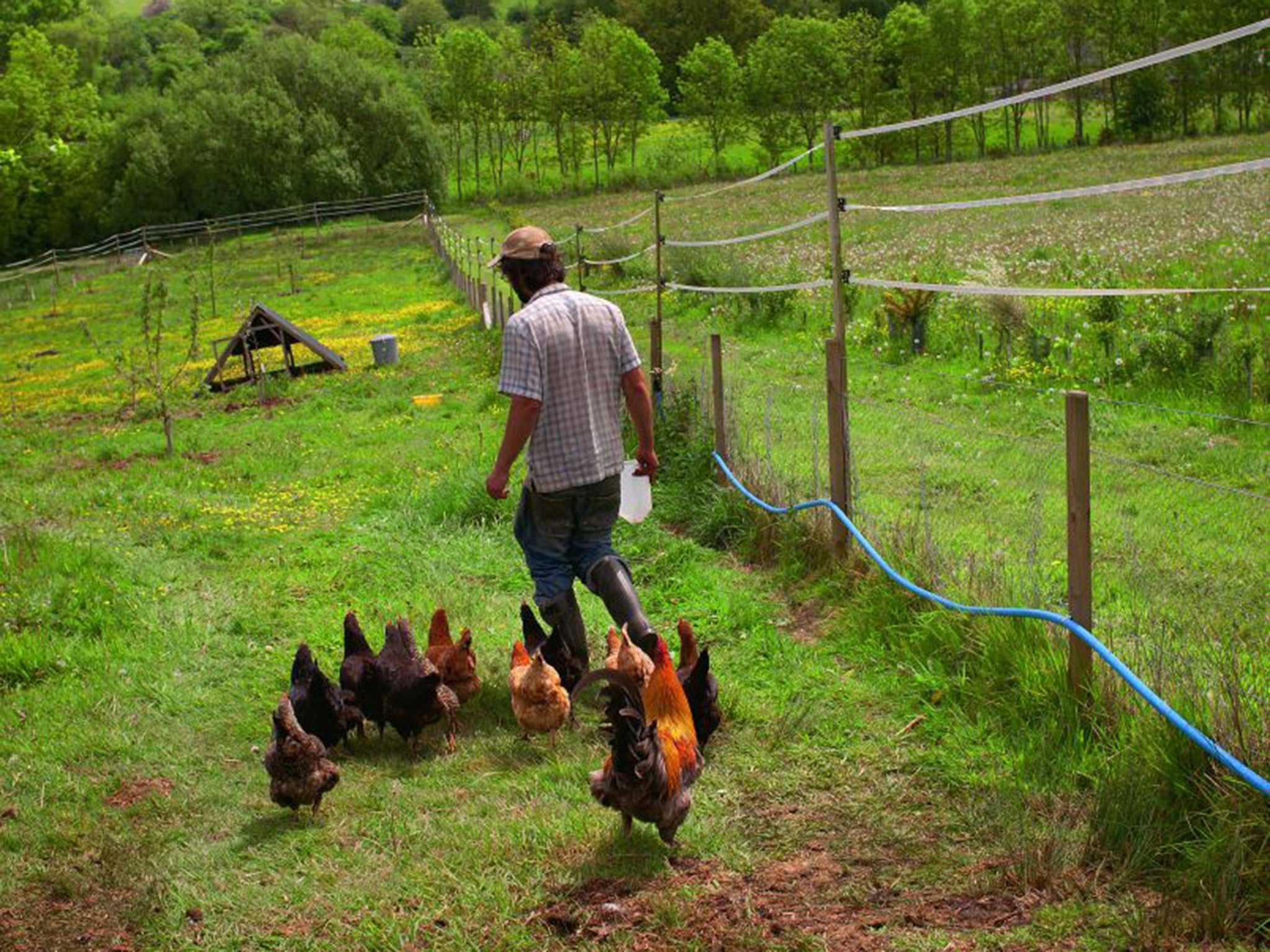 Greenham Reach in Devon covers 22 acres