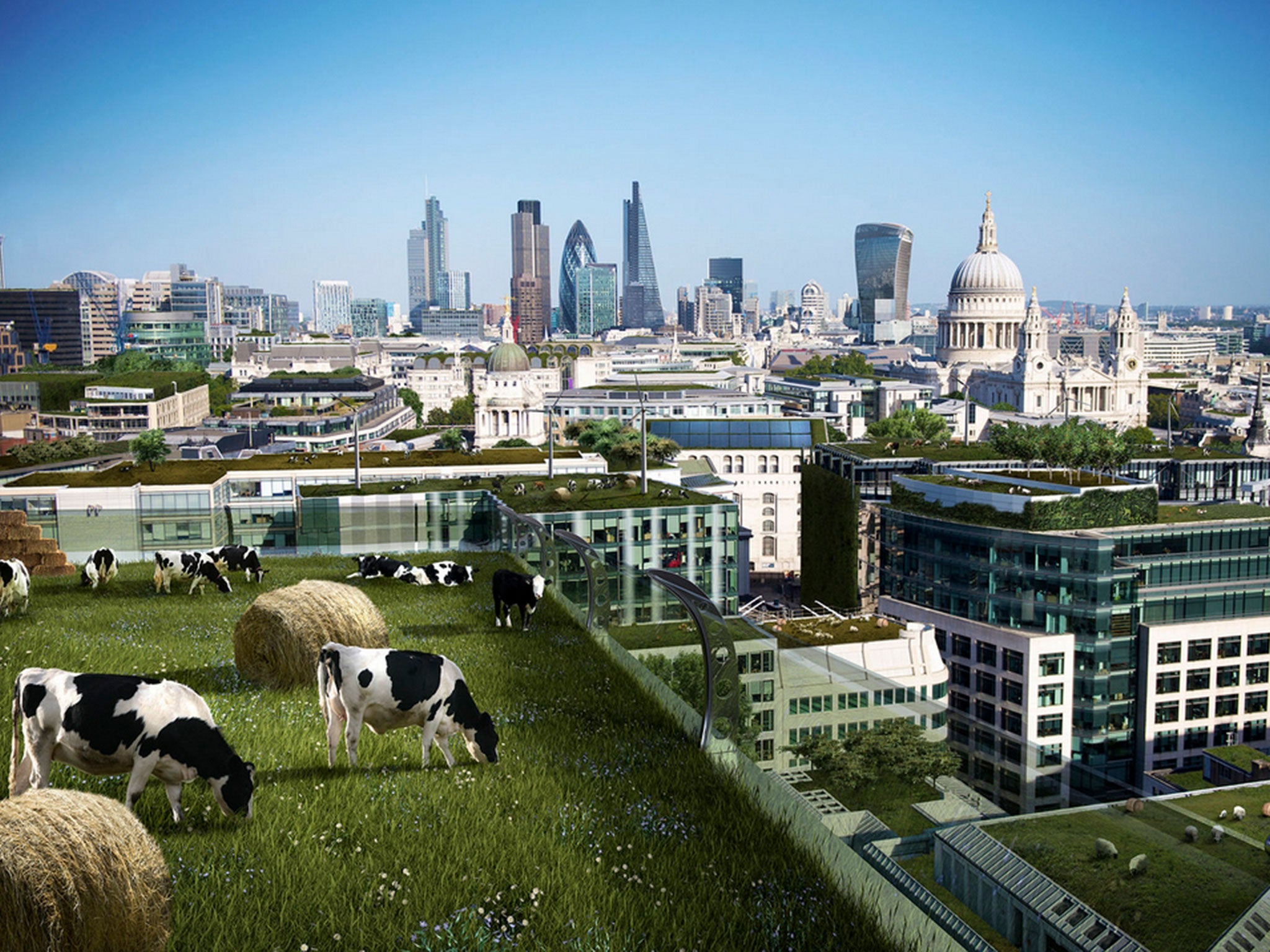 The idea of roof top city farms is the third most likely development over the coming century