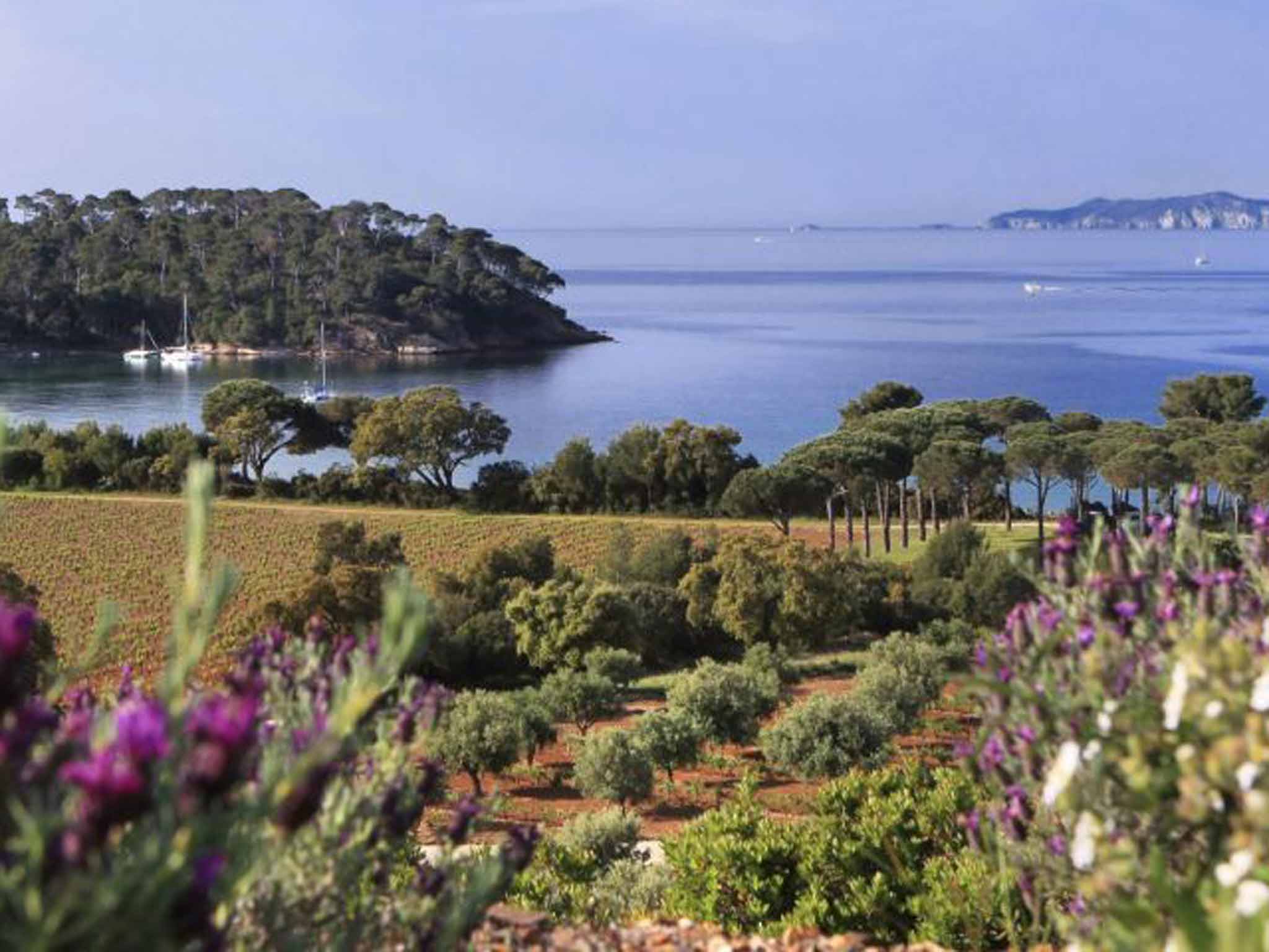 Var reaching: The view from Château Léoube