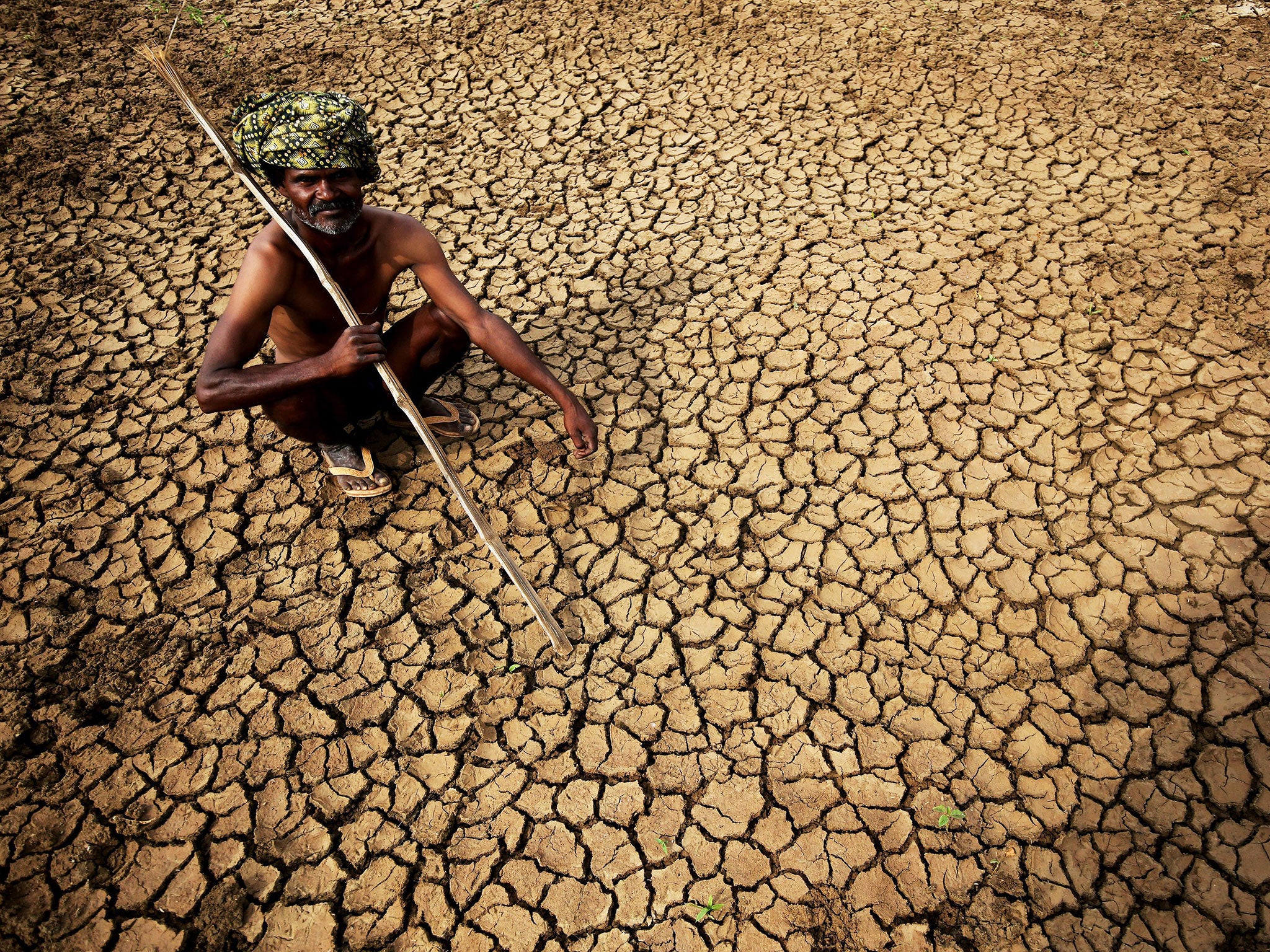 An Indian farmer sits in his dried up land near Karnataka