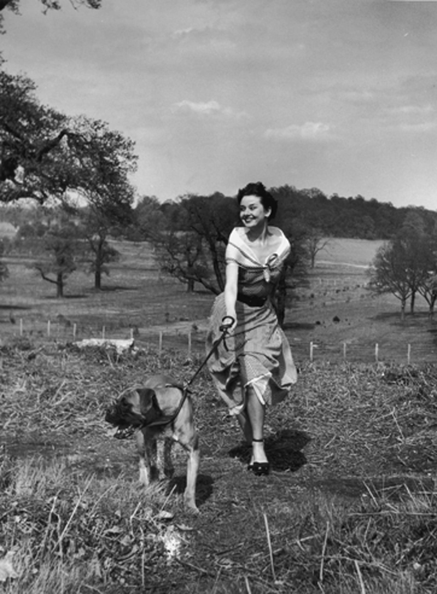 Actress Audrey Hepburn (1929 - 1993) exercising her dog in Richmond Park after a strenuous season in the London revue 'Sauce Piquante', 13th May 1950.