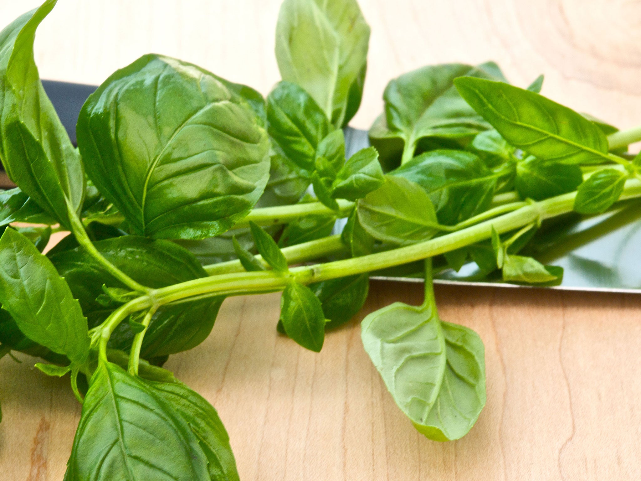 Smple dish: Norman uses torn basil leaves in his Caprese salad