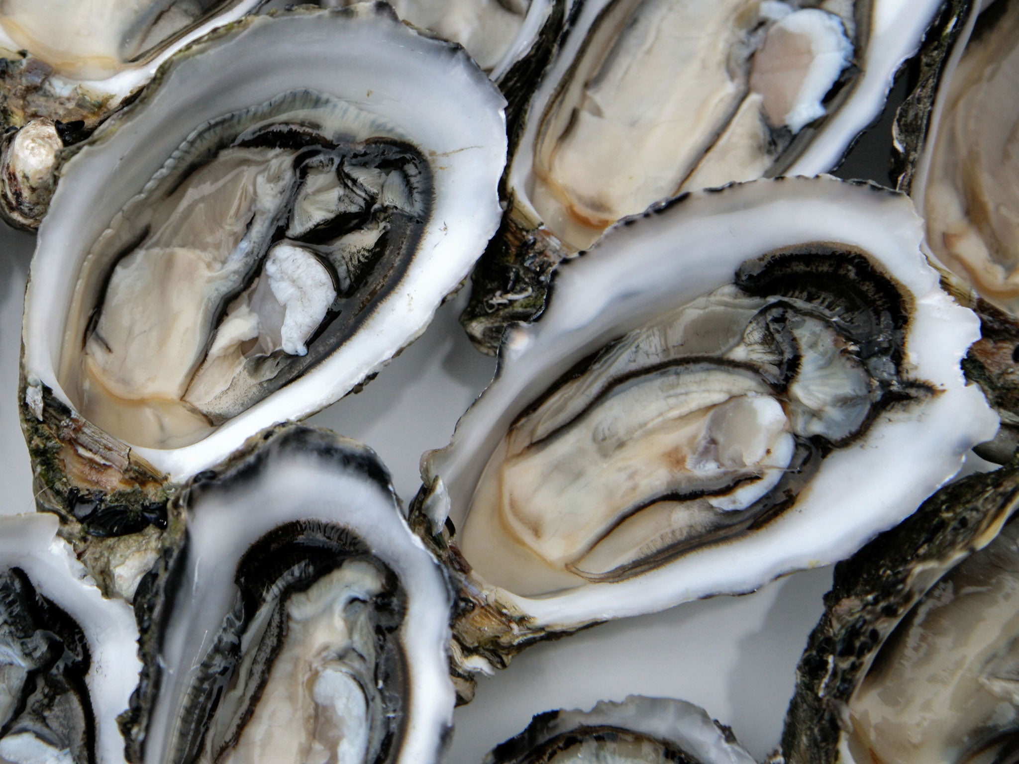 Christopher would like to start his meal with a dozen oysters