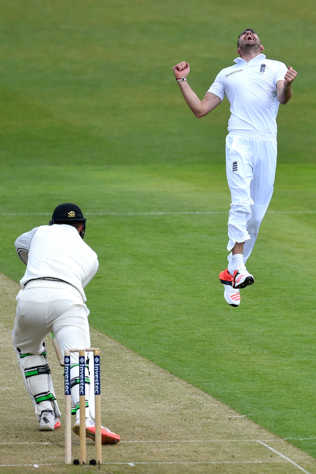 Anderson leaps for joy after having Guptill caught behind