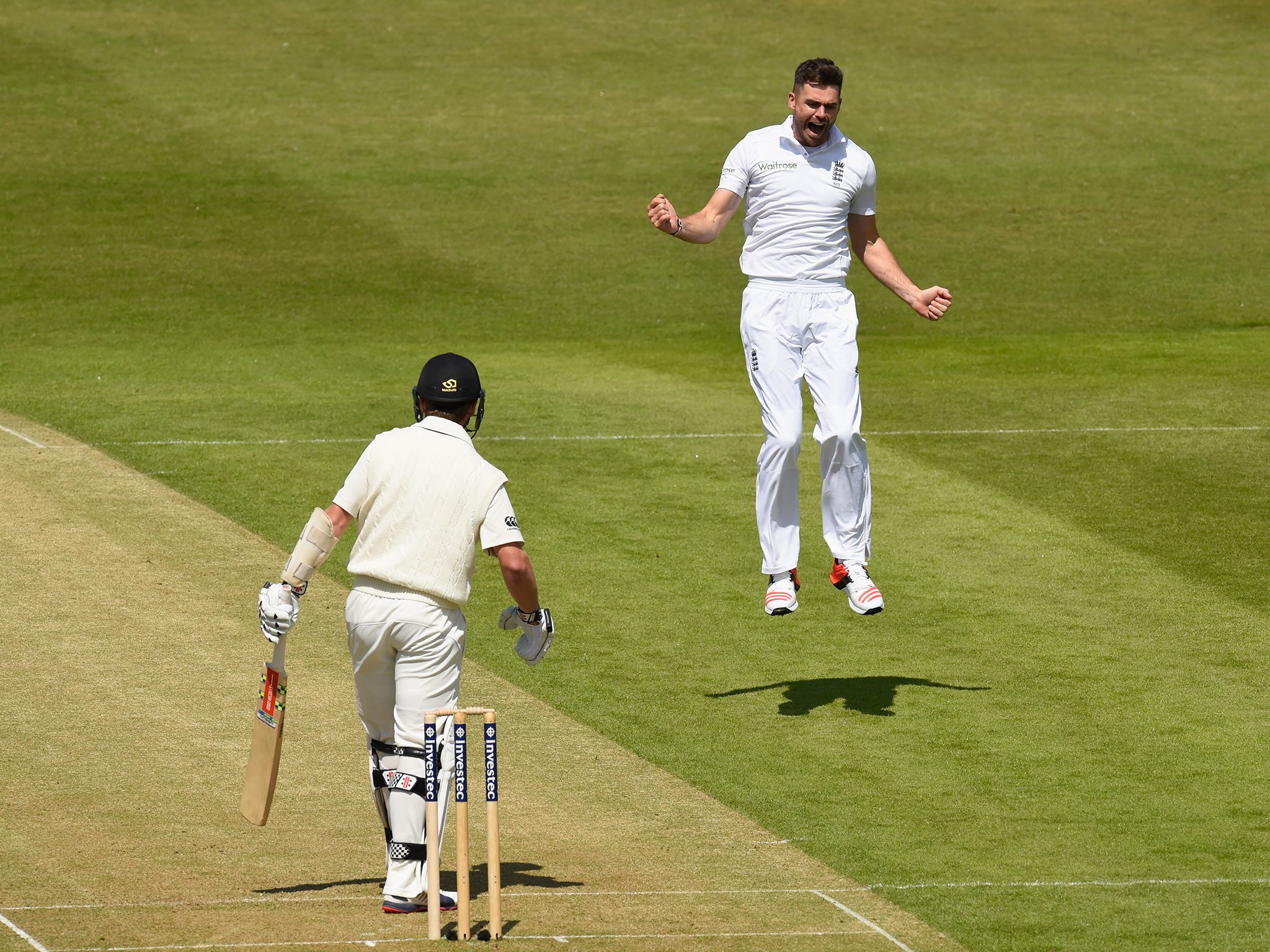 Anderson celebrates dismissing Kane Williamson