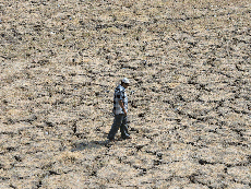 India suffered more than 200 heatwave days in 2022 compared to just 36 last year