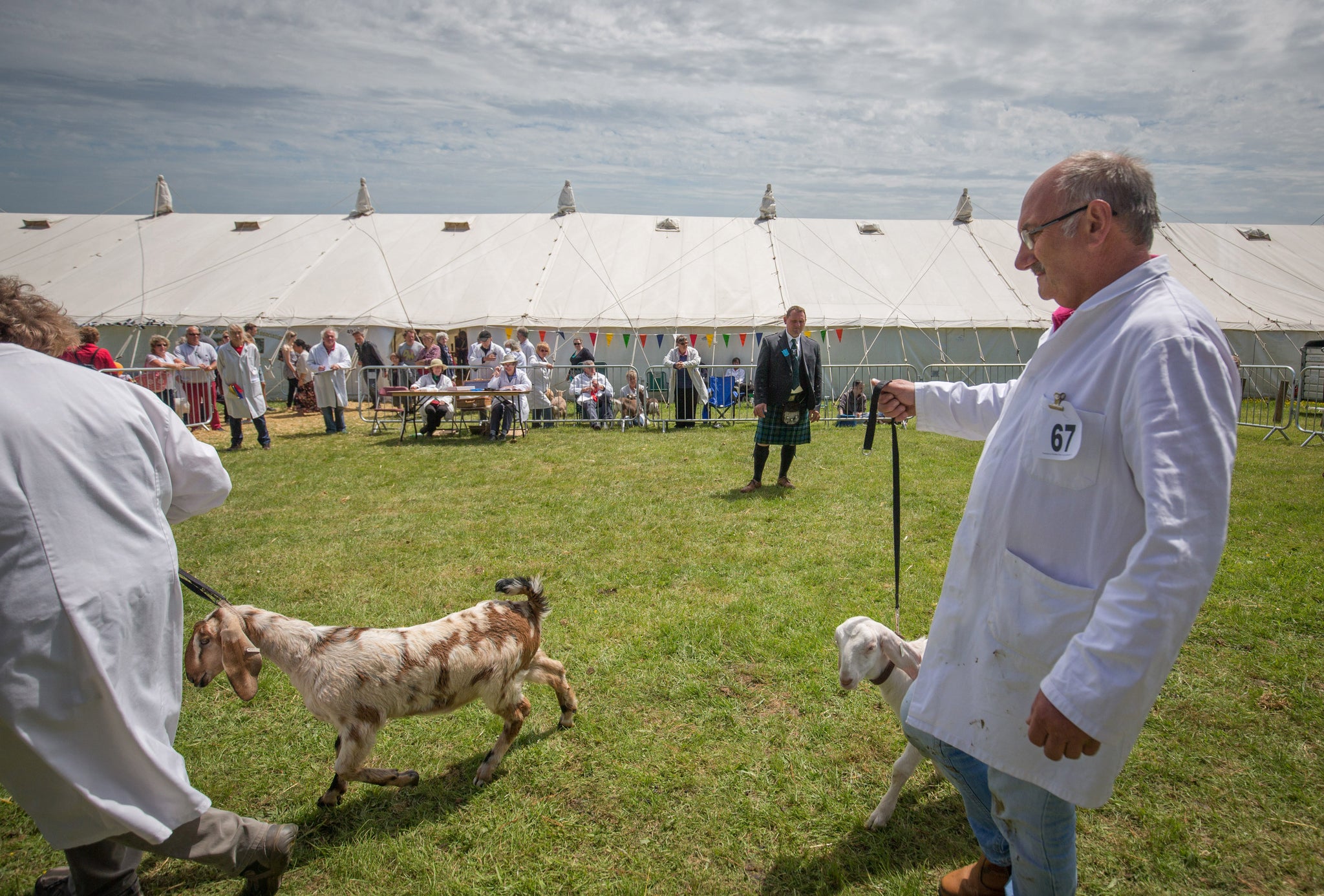 People (and goats) enjoyed the fair weather at the Royal Cornwall Show yesterday