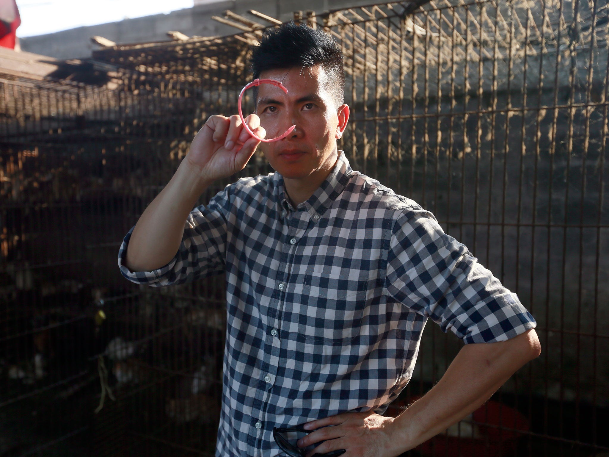 Peter Li holds a puppy's collar found at a slaughterhouse. AP/Humane Society International