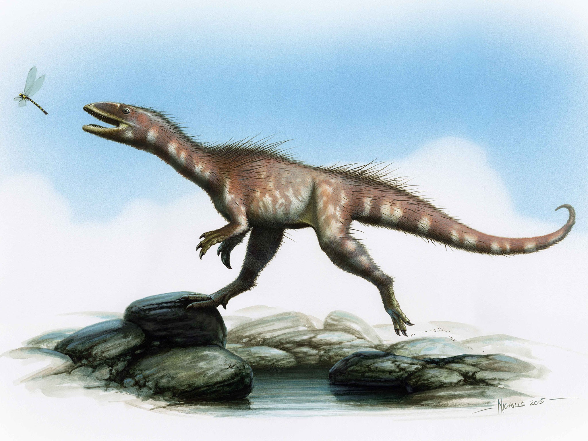 Artist's impression issued by the National Museum of Wales of a new dinosaur species discovered in Wales