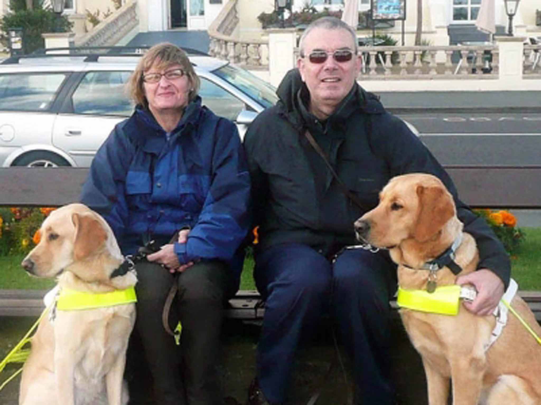 The feel-good appointment of the evening: Me and My Guide Dog on ITV