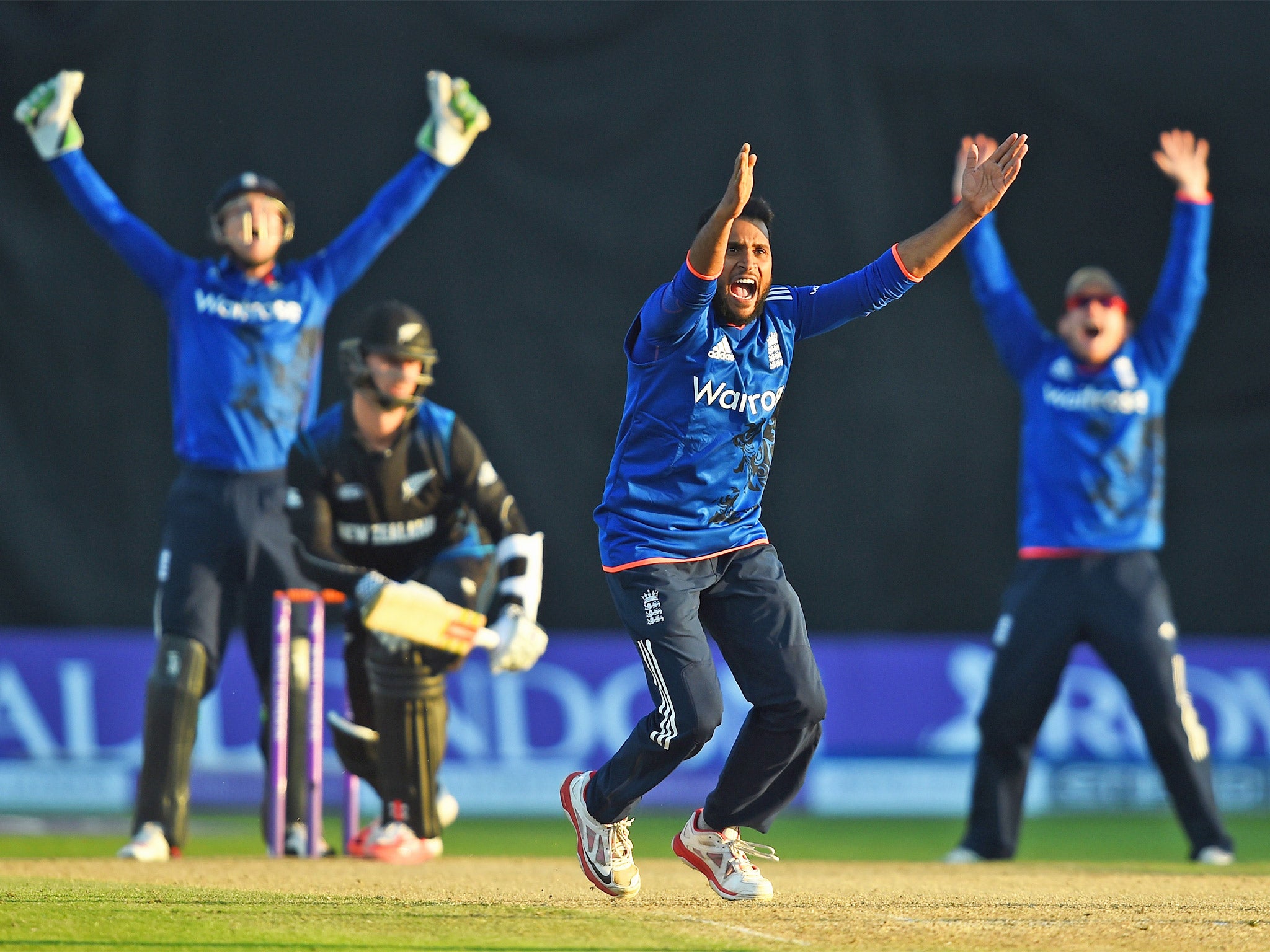 England’s Adil Rashid successfully appeals for the wicket of Matt Henry on his way to taking four wickets with his wrist-spin