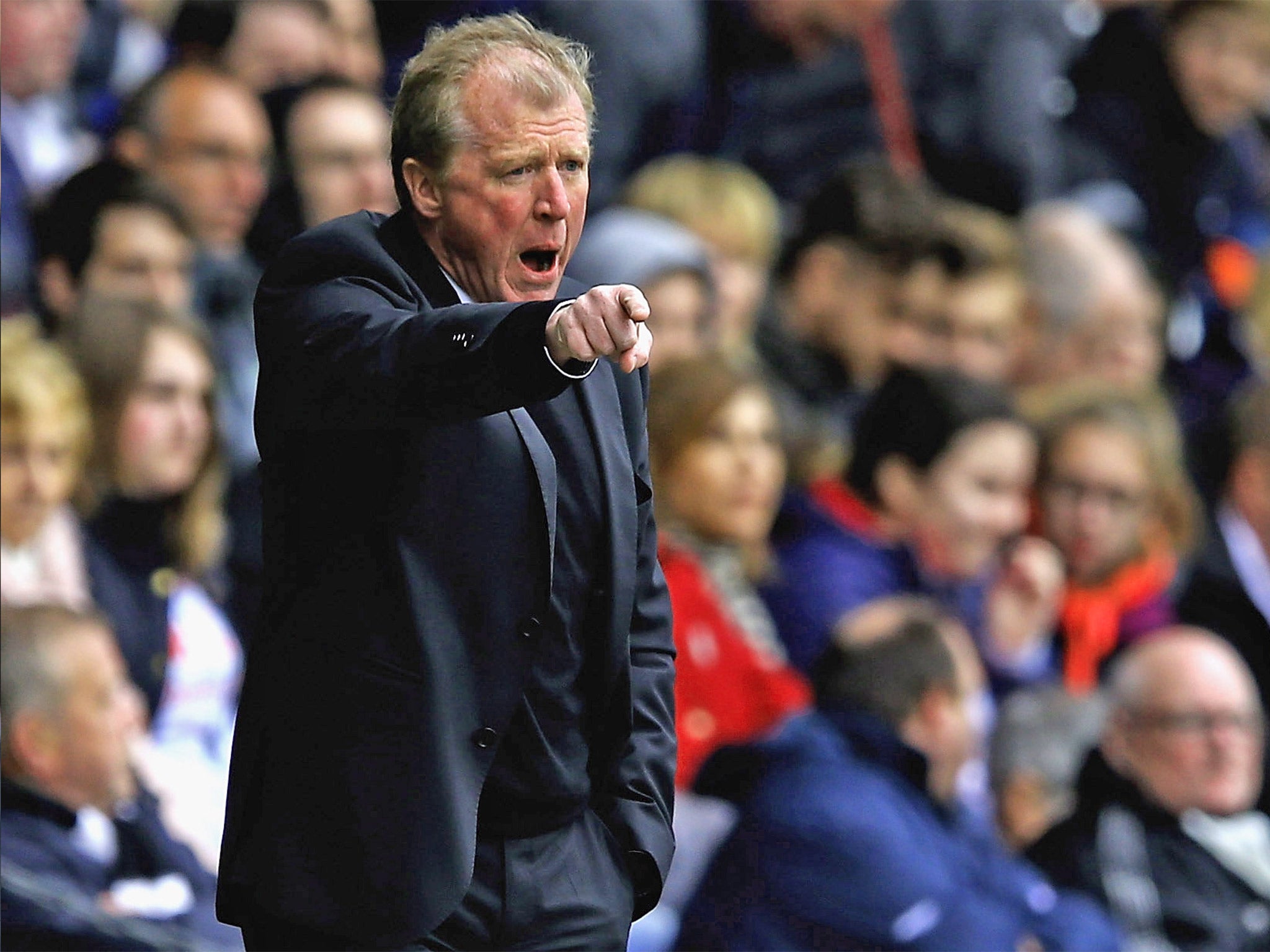 Steve McClaren has also been given a place on the Newcastle board