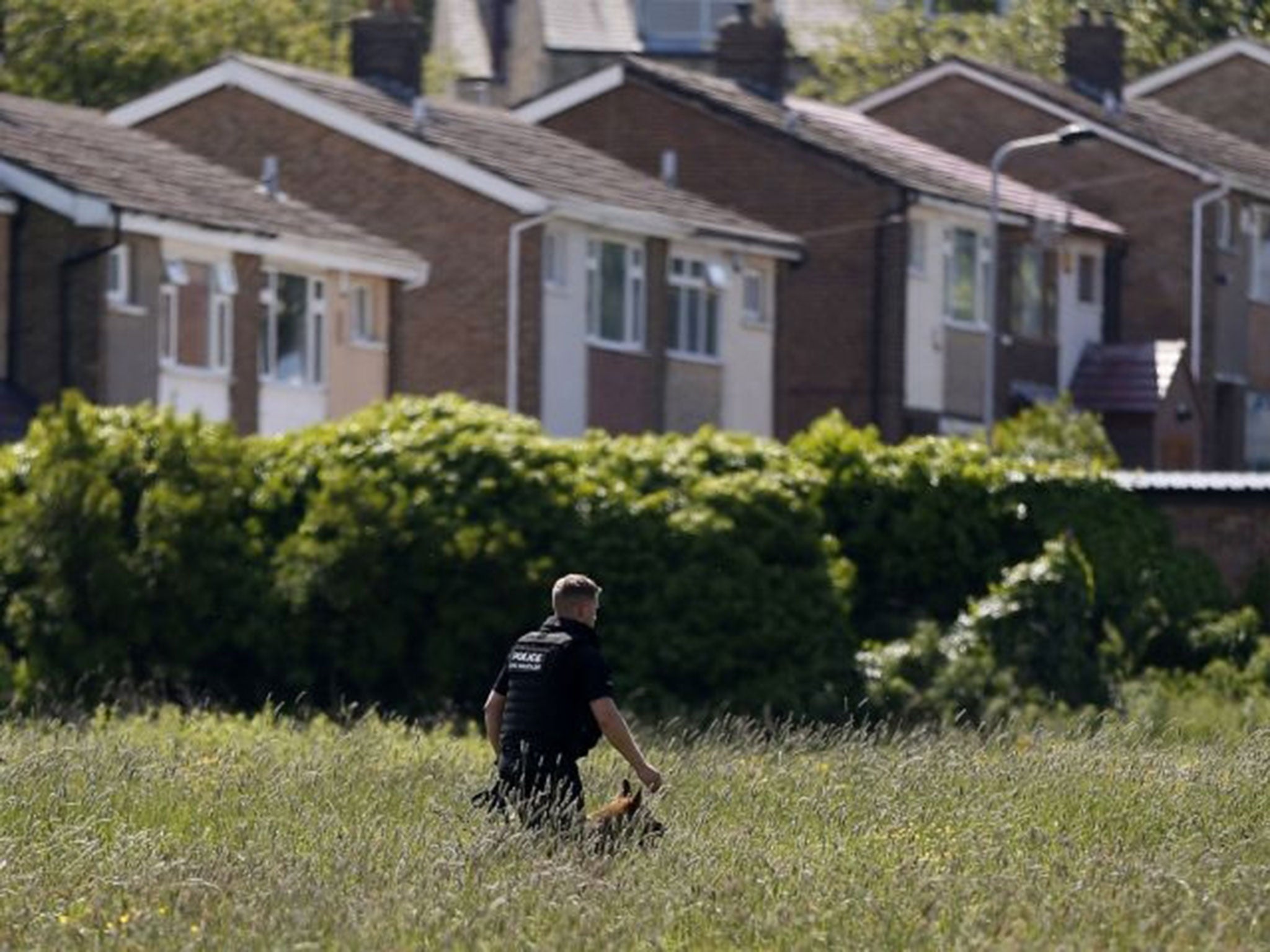 A police dog handler and his dog searching fields next to Dixons Kings Academy in Bradford, prior to the arrest of a teenager