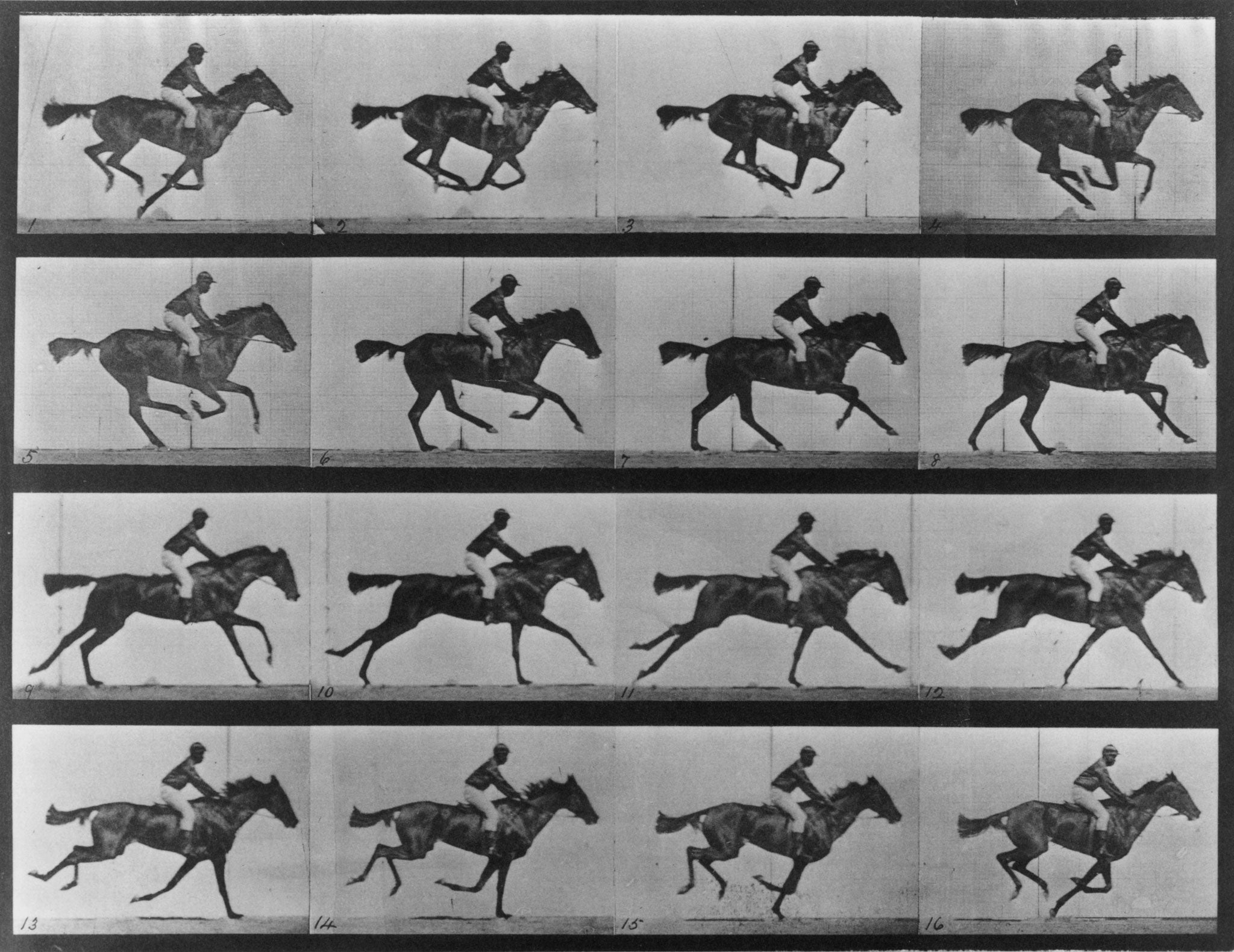 'Sallie Gardner at a Gallop' was the first image sequence to be photographed in real time