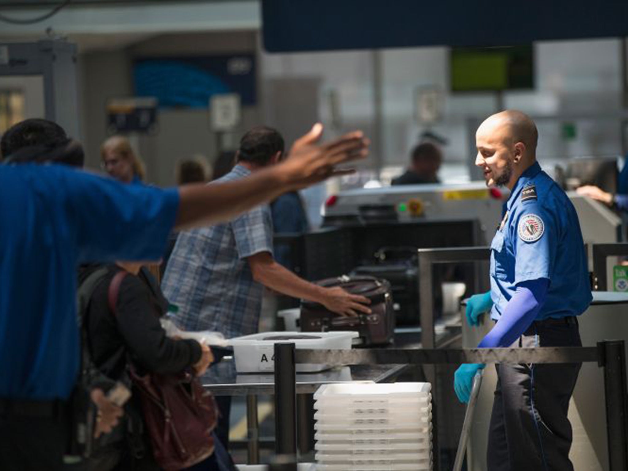 Mice searching for explosives could become part of airport security